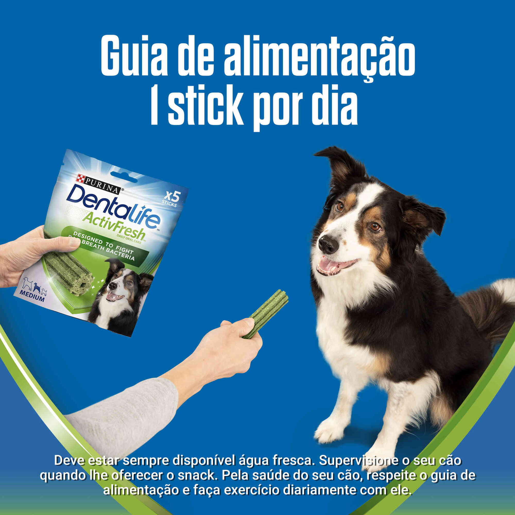 Snack para Cão Médio Activefresh