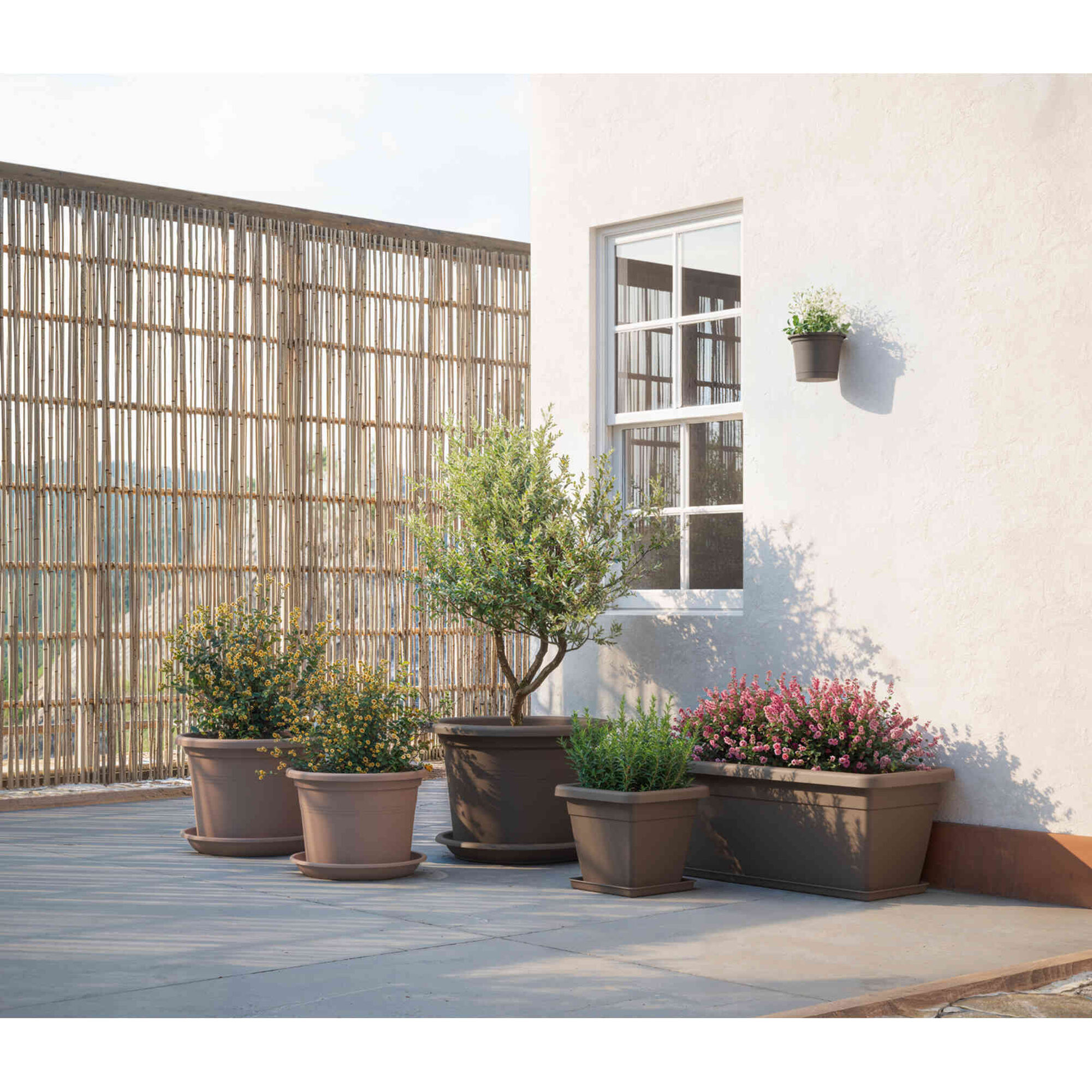 Prato Redondo 15cm Branco