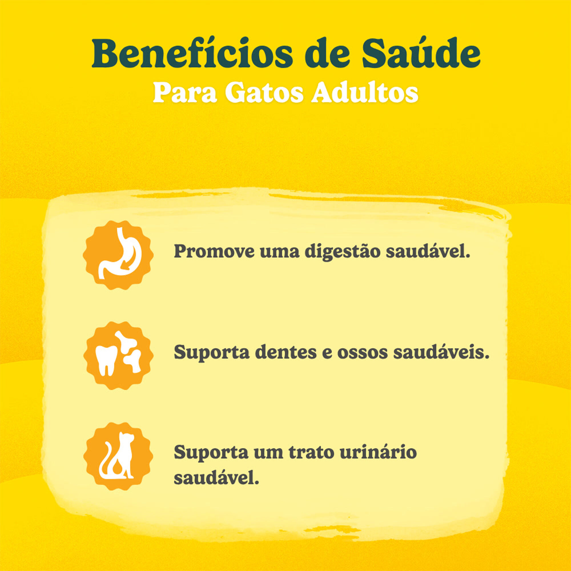 Ra&ccedil;&atilde;o para Gato Adulto Salm&atilde;o Purina Friskies