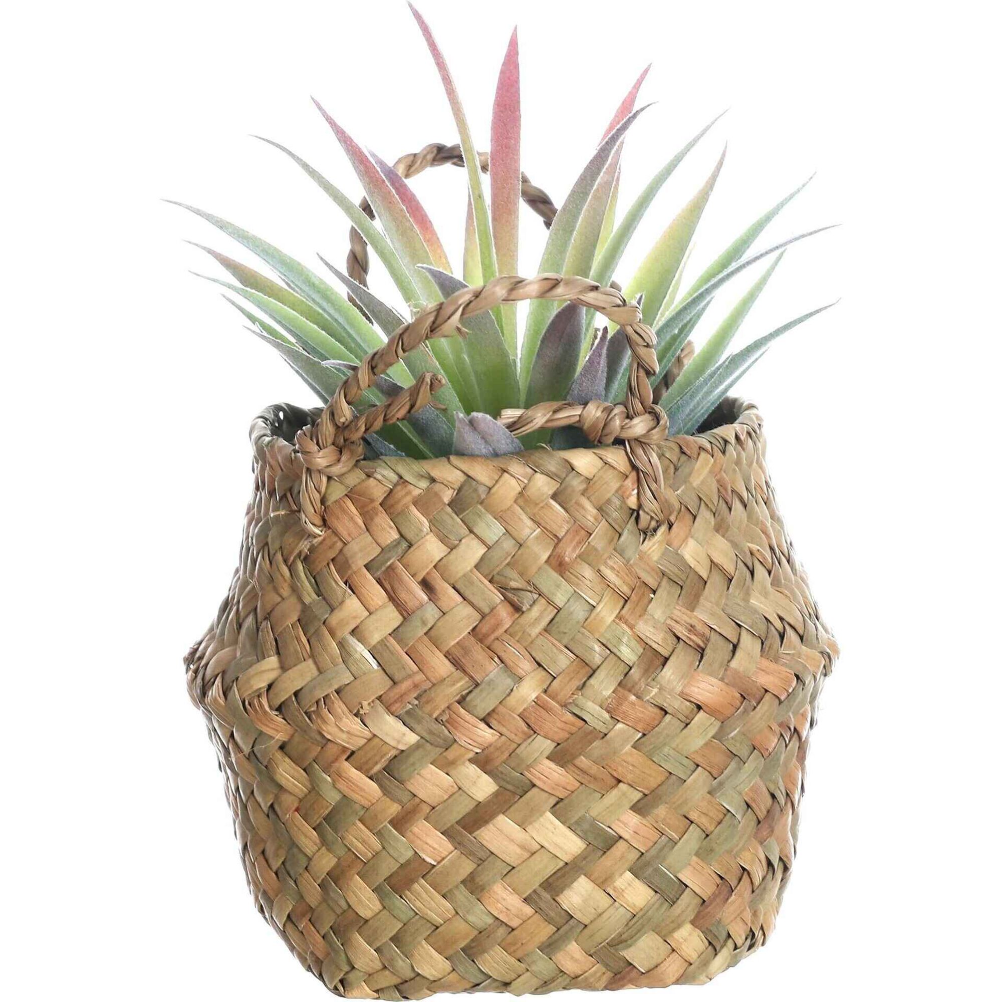 Planta Artificial Suculenta Aloe com Cesto com Asas