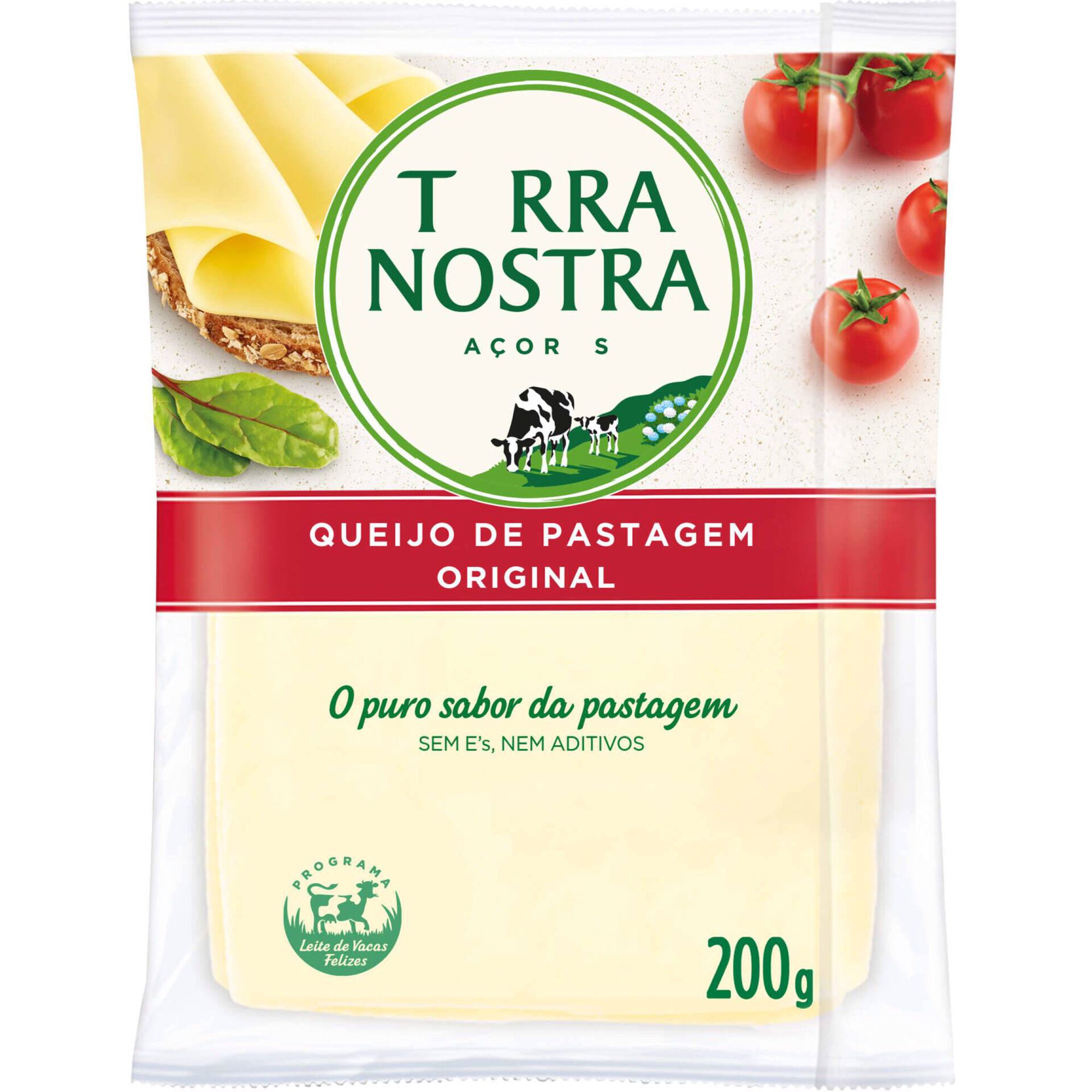 Queijo Flamengo sem Lactose Fatiado Terra Nostra