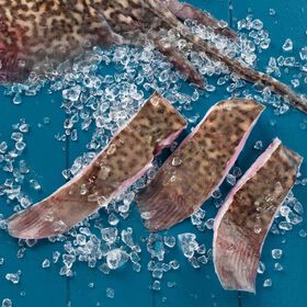 Posta de Raia Fresca