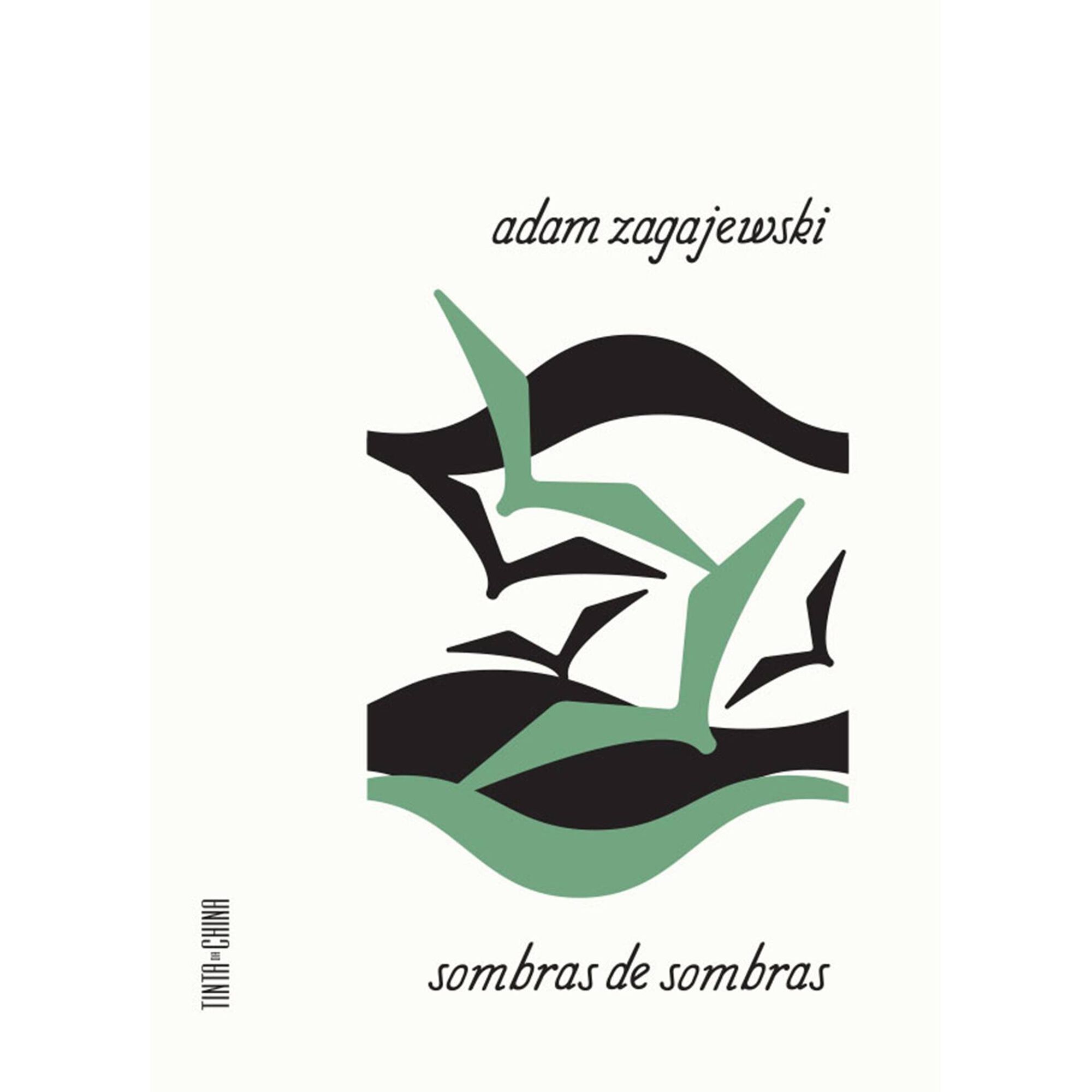 Sombras de Sombras de Adam Zagajewski