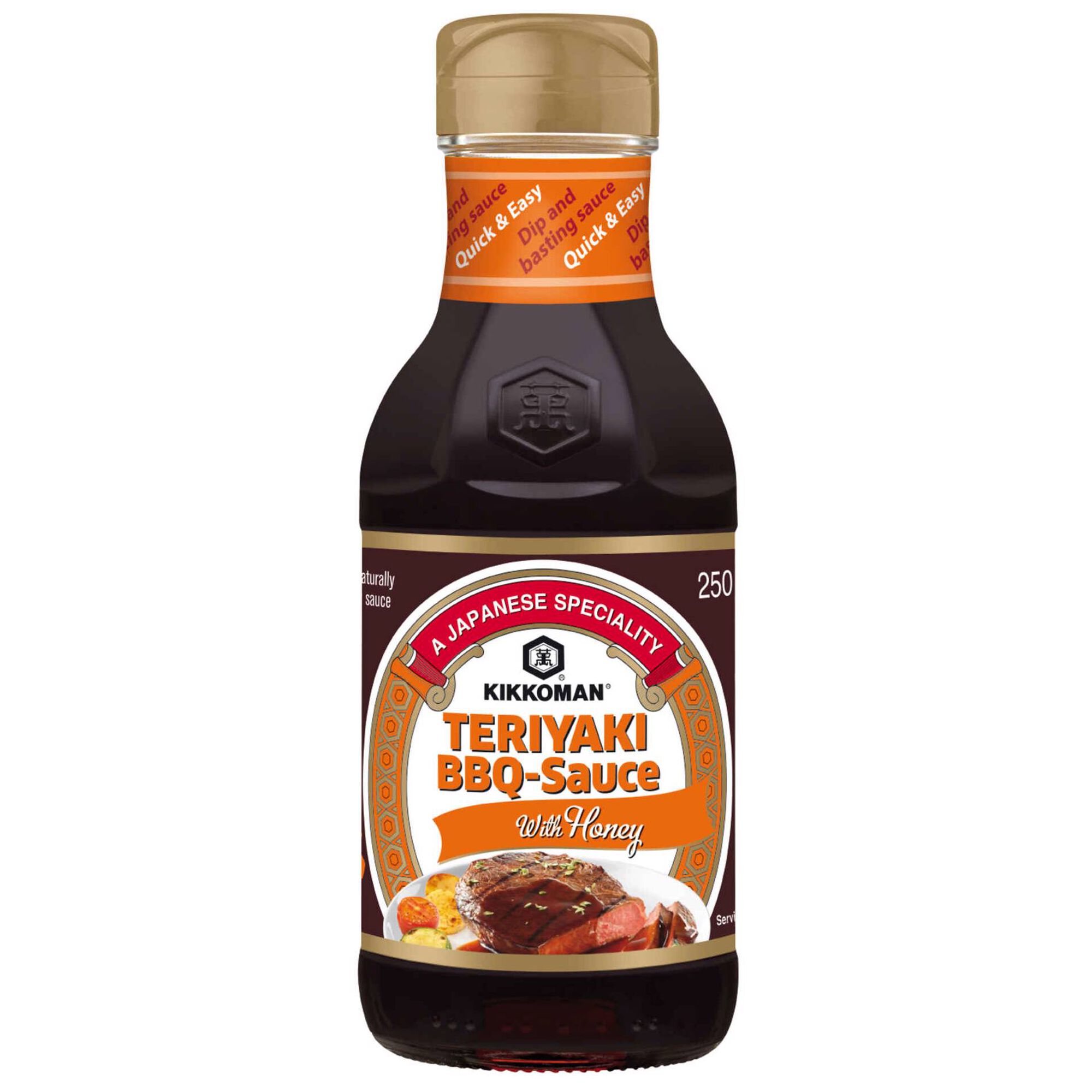Molho Teriyaki Barbecue com Mel