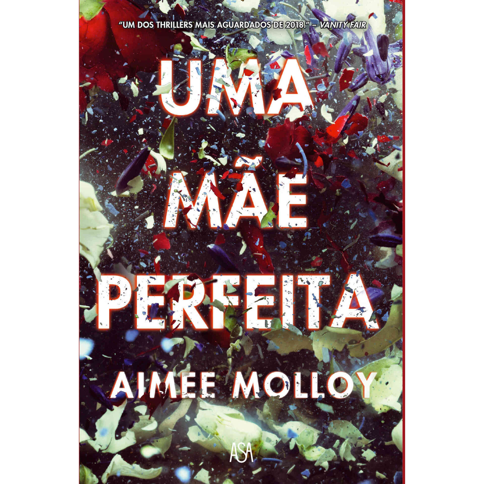 Uma Mãe Perfeita