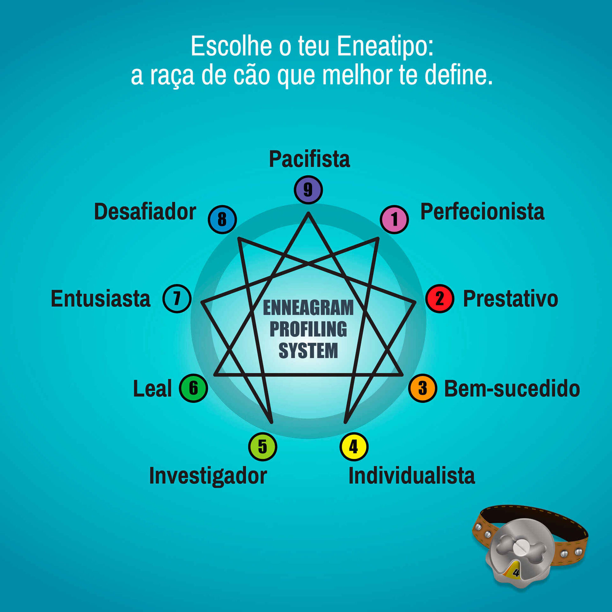 Creative Toys - Jogo It's a Dog's Life