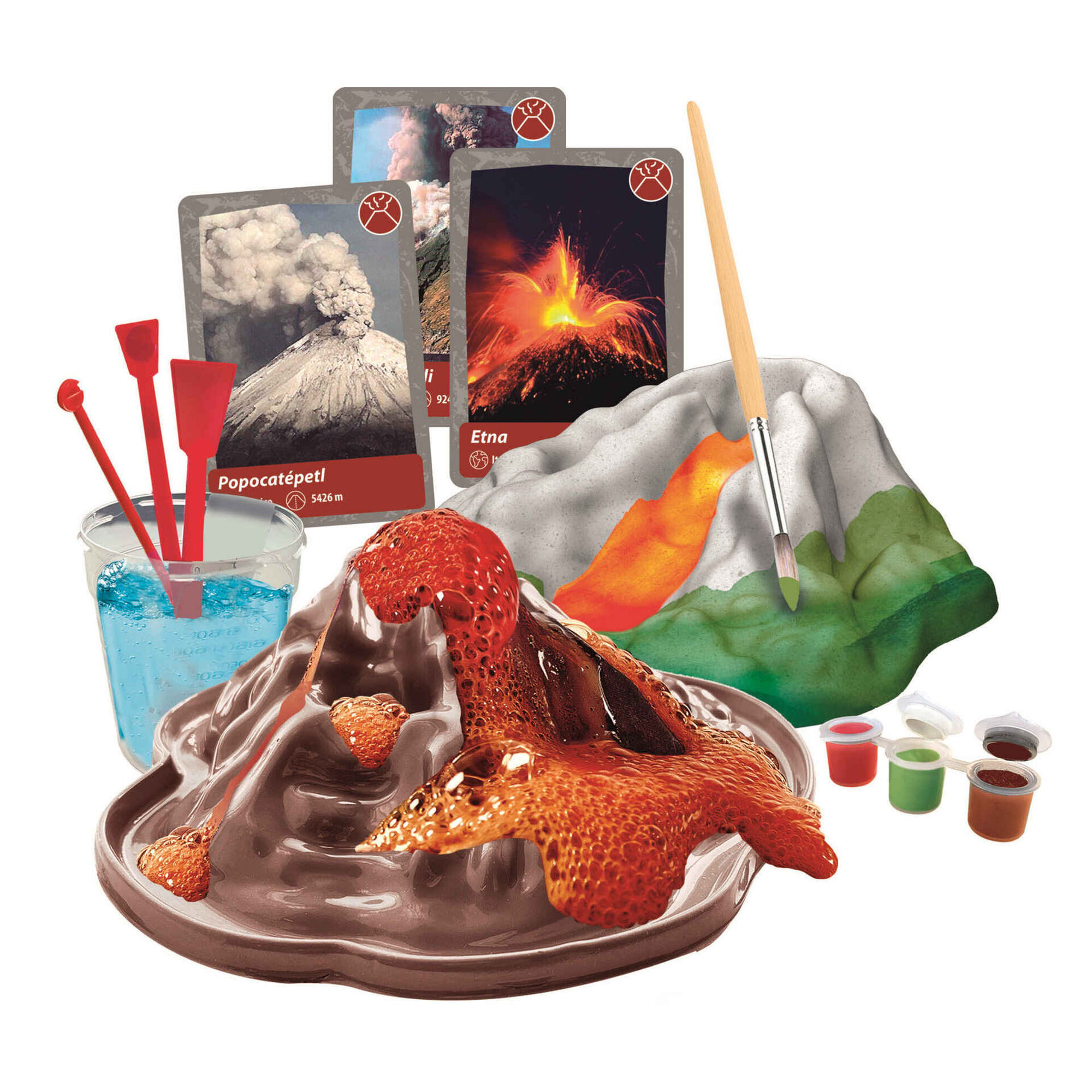 Ciência & Jogo - História da Vida na Terra Ciência & Jogo - História da Vida na Terra