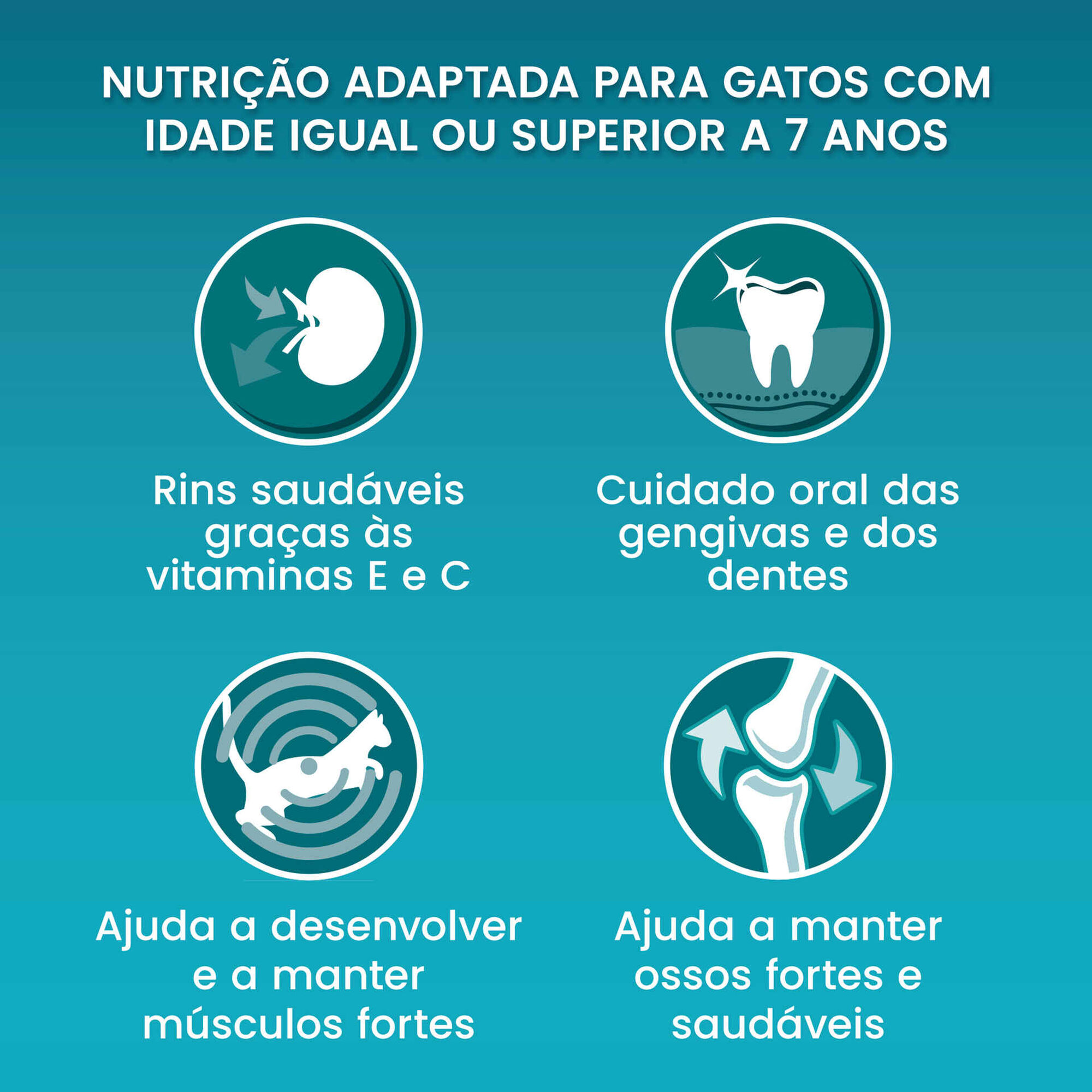 Ra&ccedil;&atilde;o para Gato S&eacute;nior Vital Maturity Frango Purina One