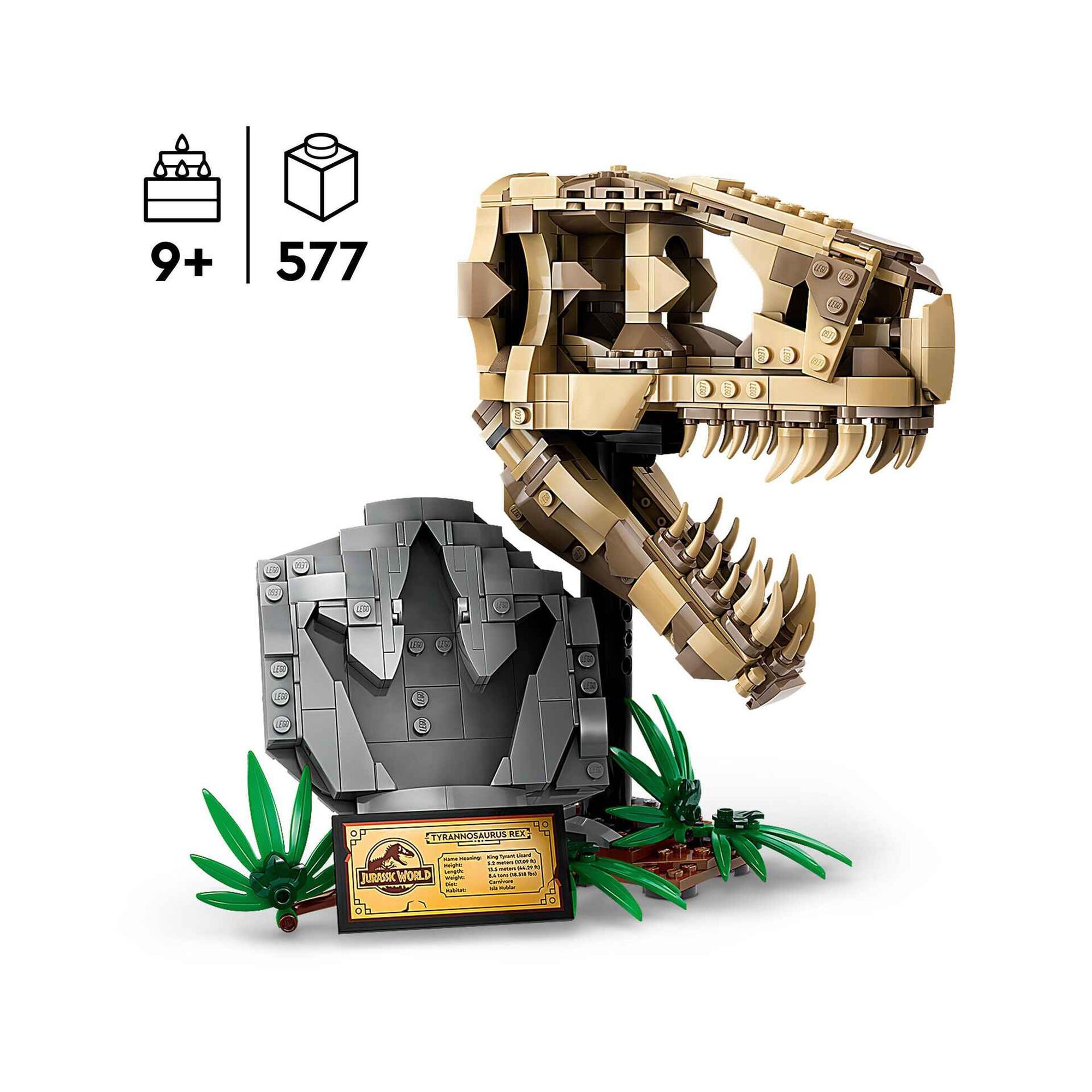 Fósseis de Dinossauros: T-Rex – Caveira - 76964