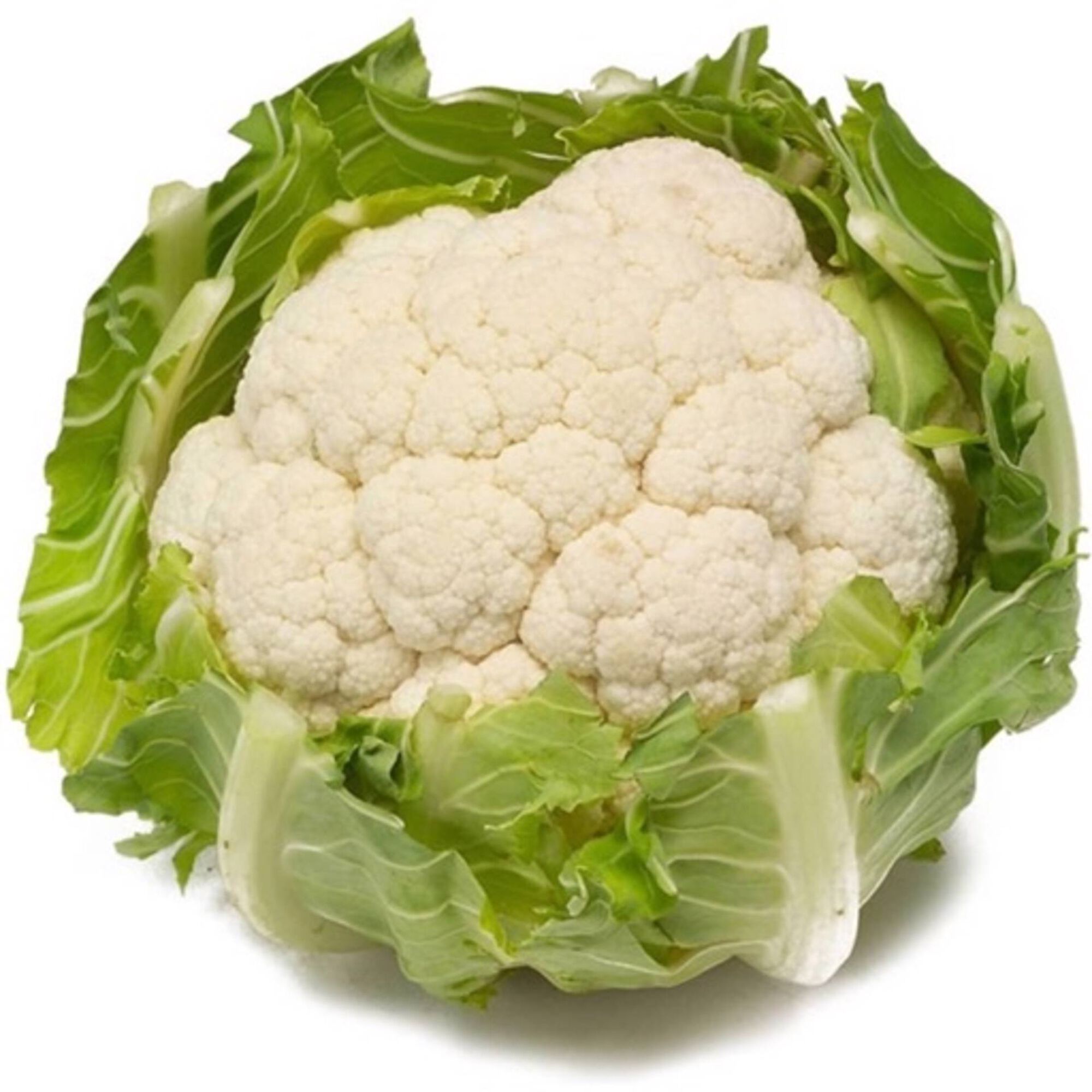 Couve Flor Couve Flor