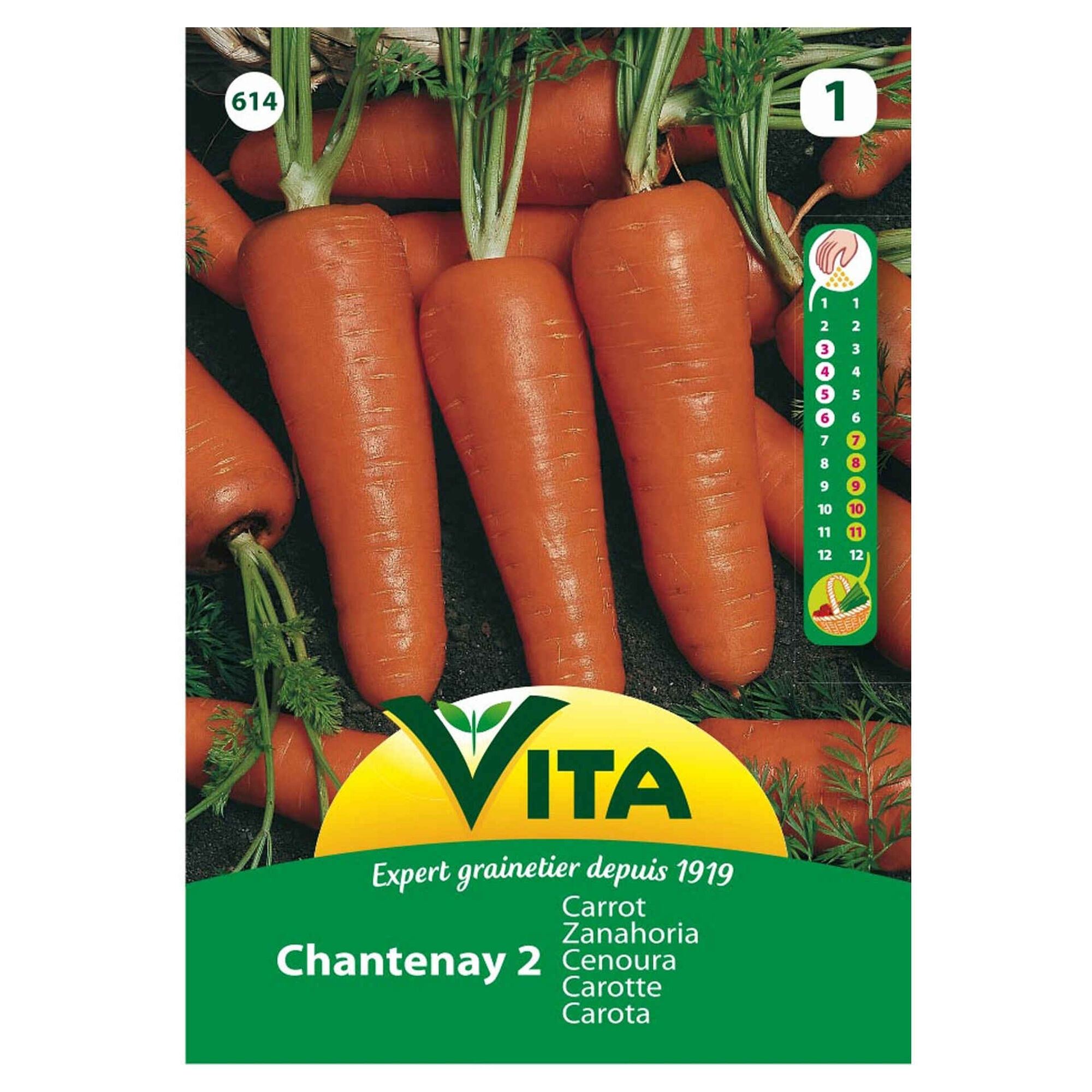 Sementes Hortícolas Cenoura Chantenay Sementes Hortícolas Cenoura Chantenay