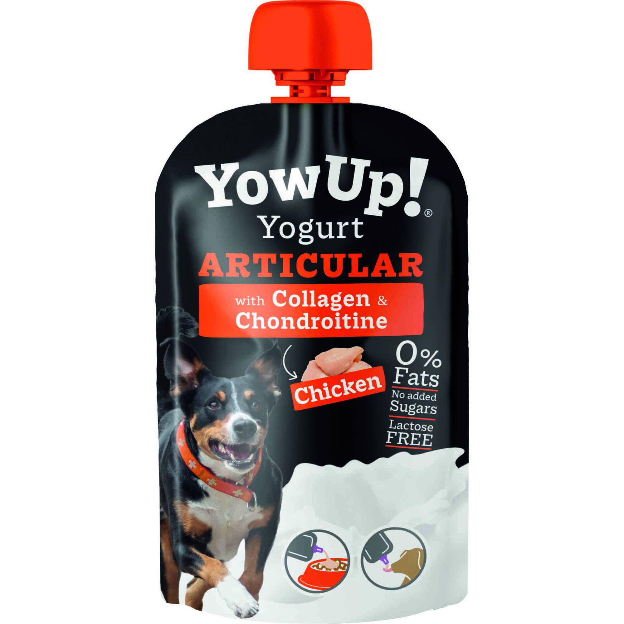 Iogurte para C&atilde;o Frango Cuidado Articular YowUP!