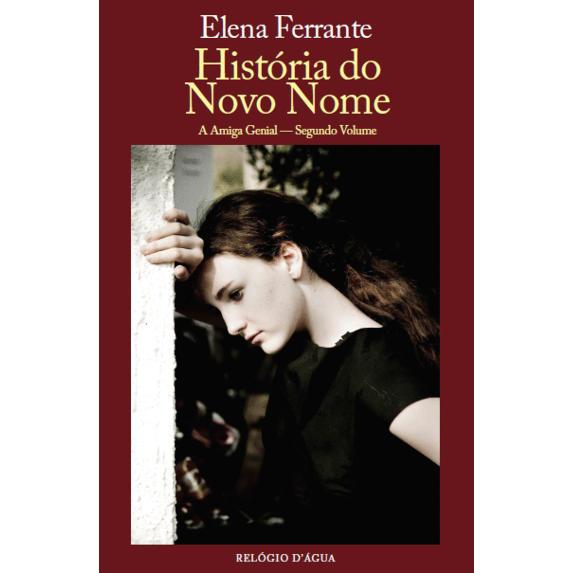 Hist&oacute;ria do Novo Nome de Elena Ferrante