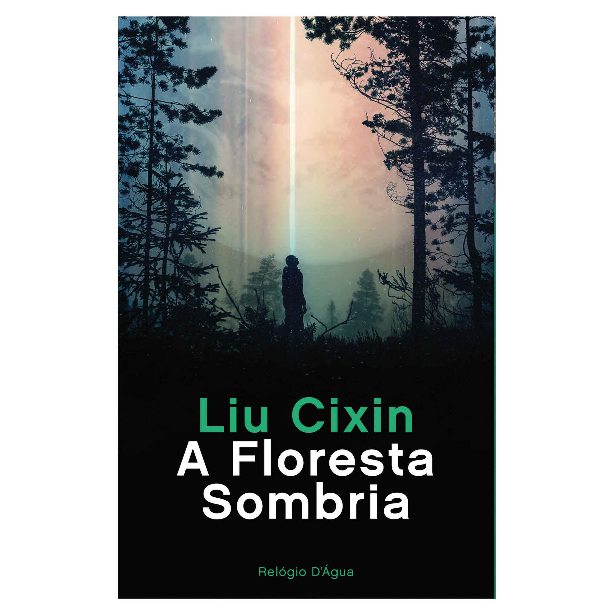 A Floresta Sombria