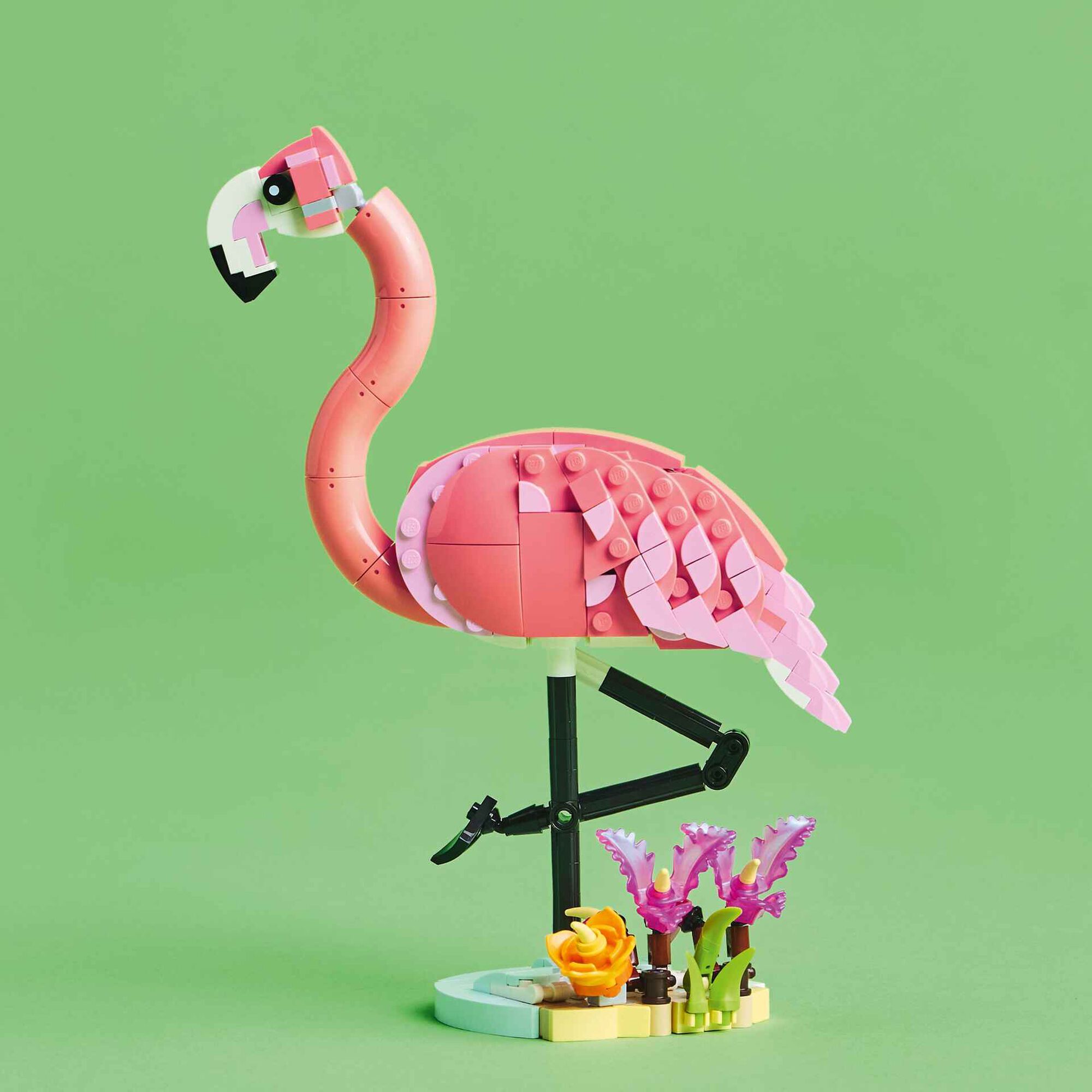 Animais Selvagens: Flamingo Cor-de-rosa - 31170