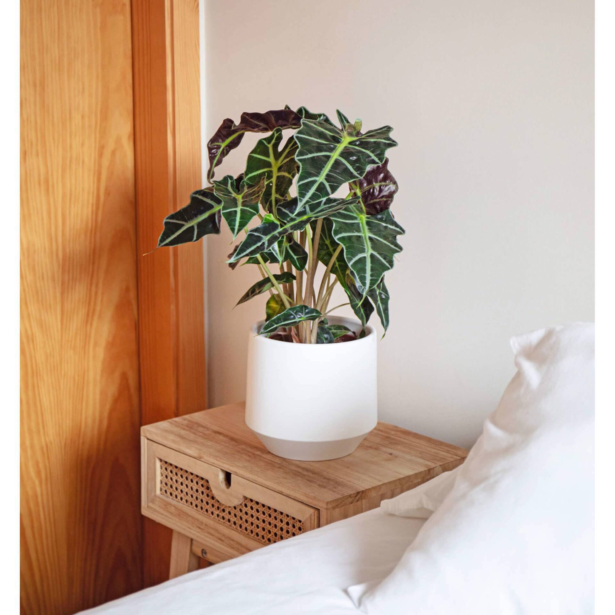 Vaso Redondo Faiança 17cm Branco