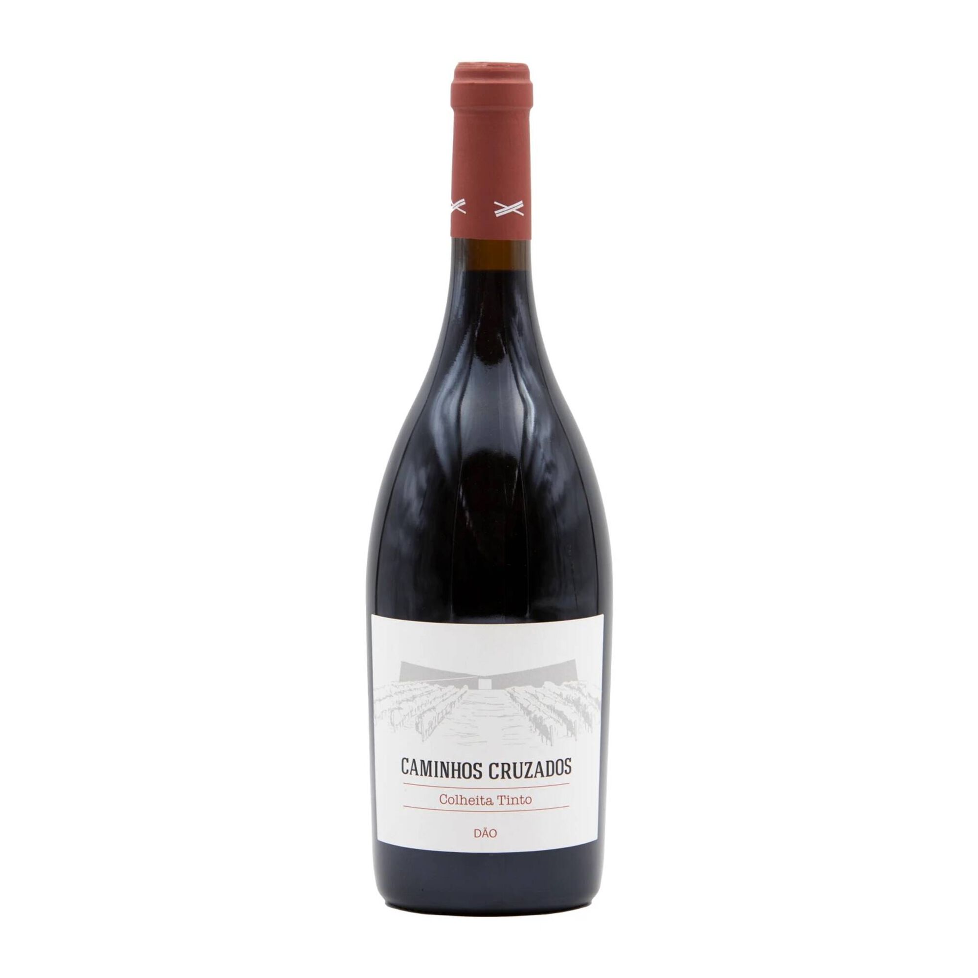 Caminhos Cruzados D&atilde;o Vinho Tinto