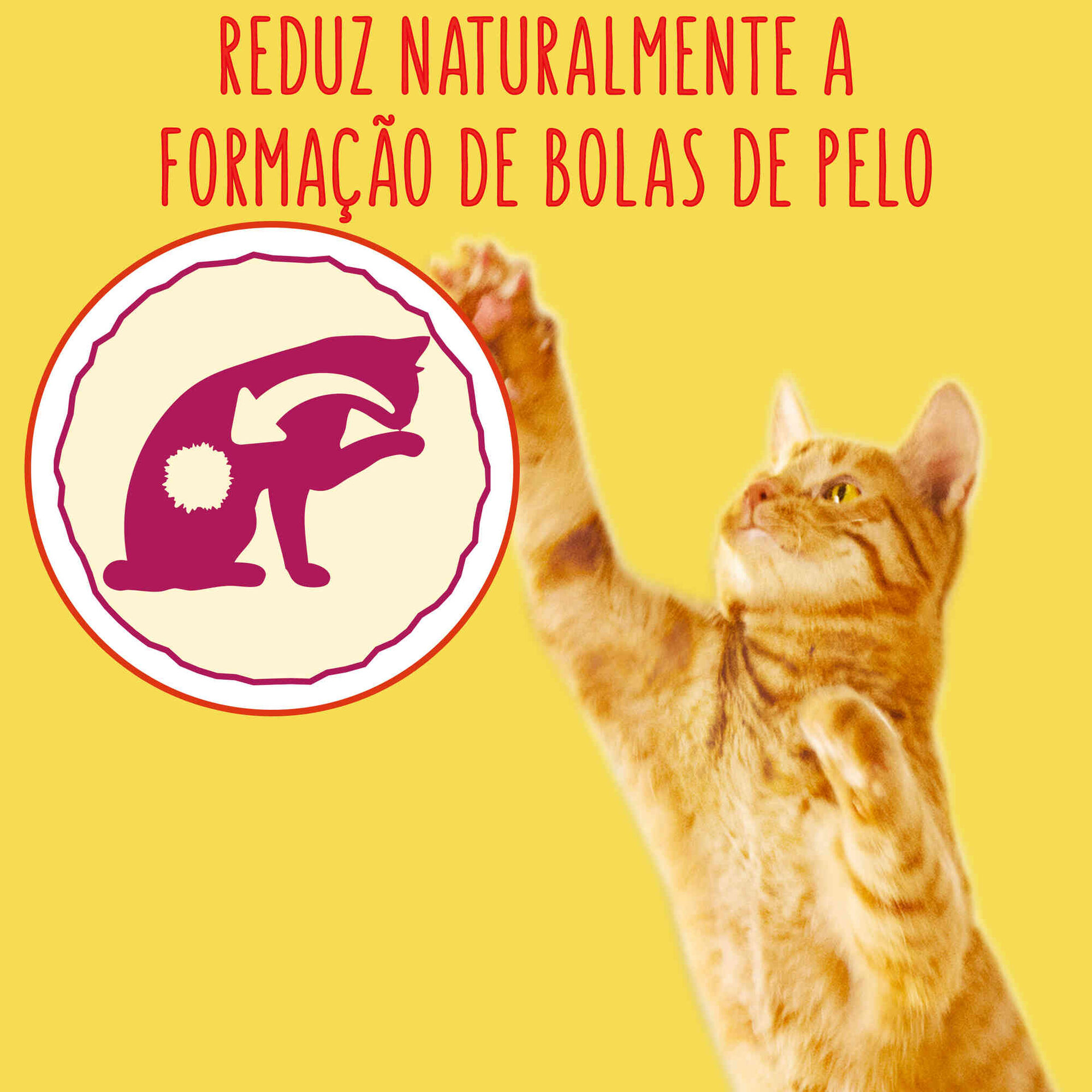 Ra&ccedil;&atilde;o para Gato Adulto Bolas de Pelo Frango, Peru e Legumes Purina Friskies