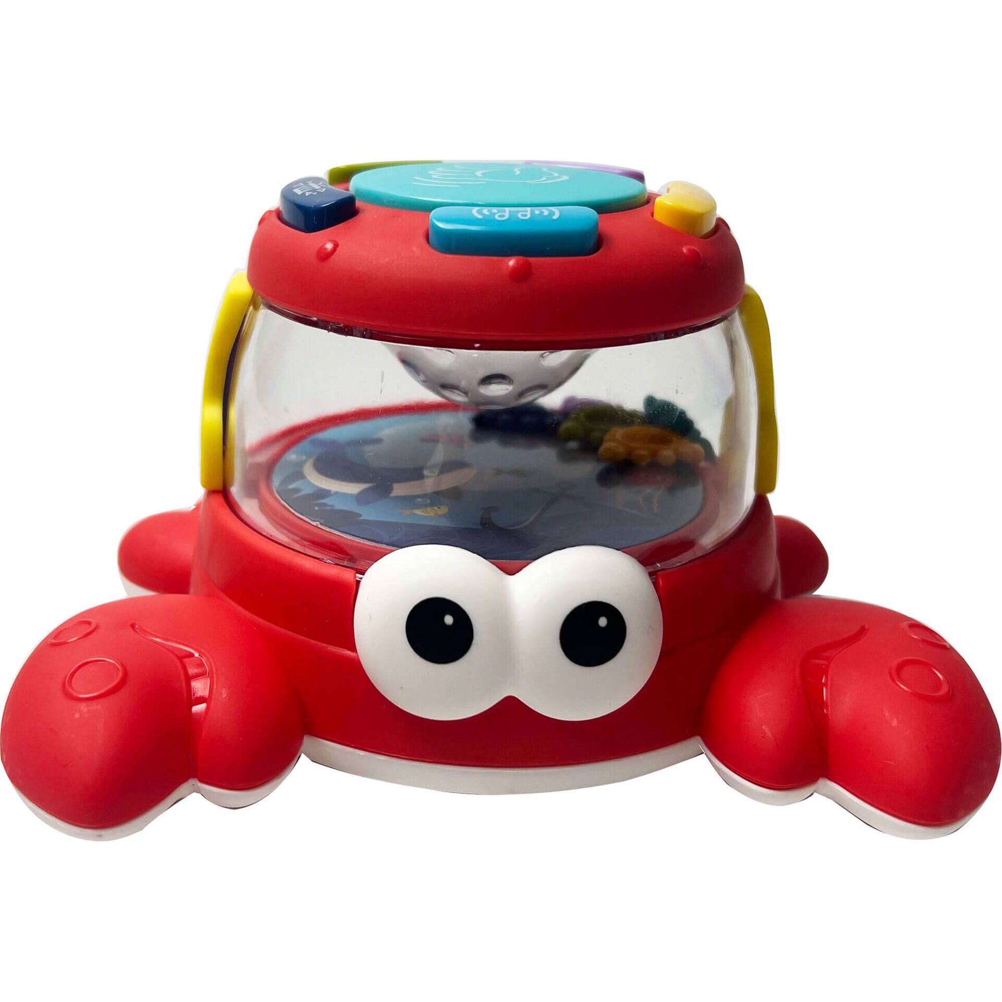 Tartaruga e Carangueijo Divertidos