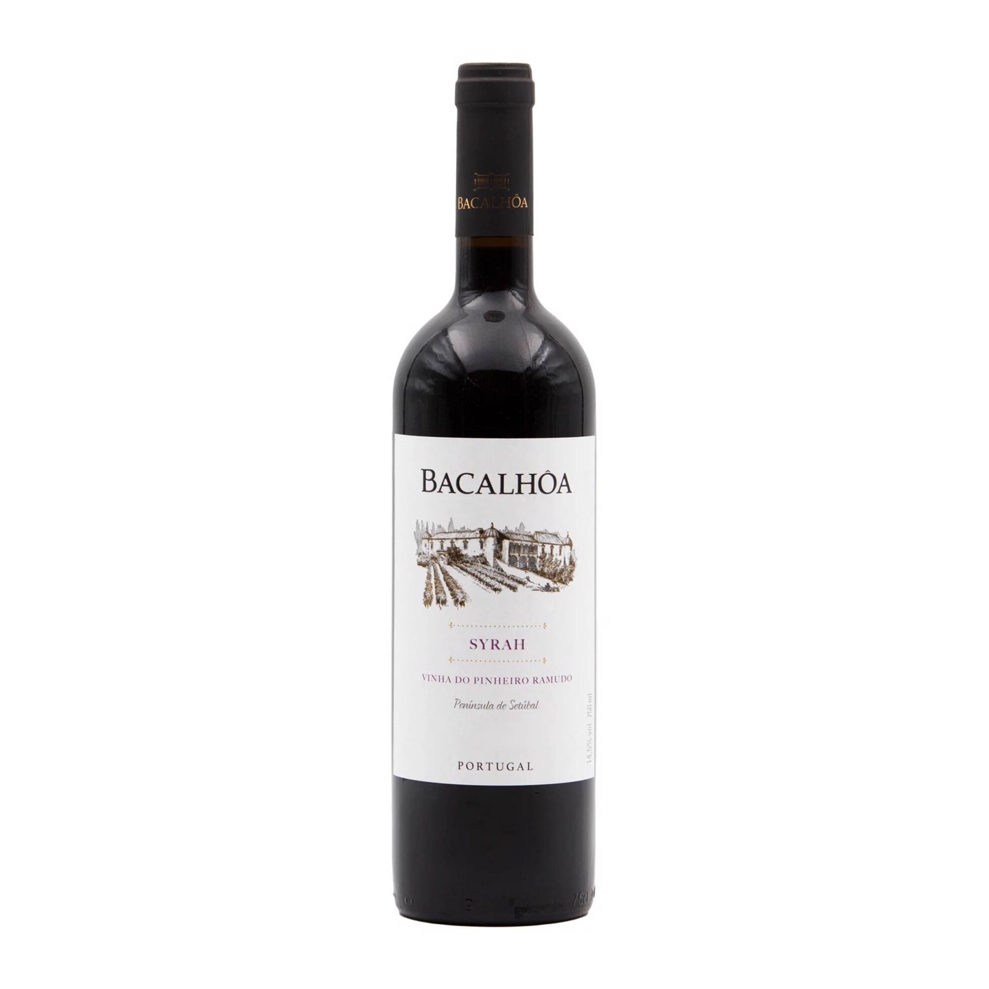 Bacalh&ocirc;a Syrah Set&uacute;bal Vinho Tinto