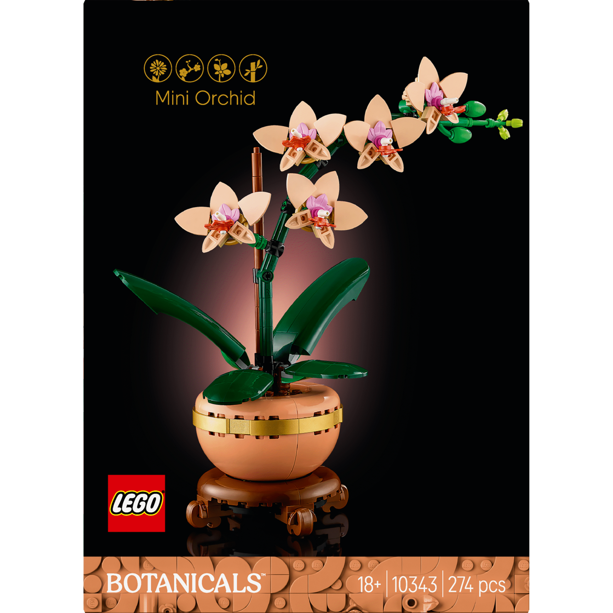 Orqu&iacute;dea em Miniatura - 10343