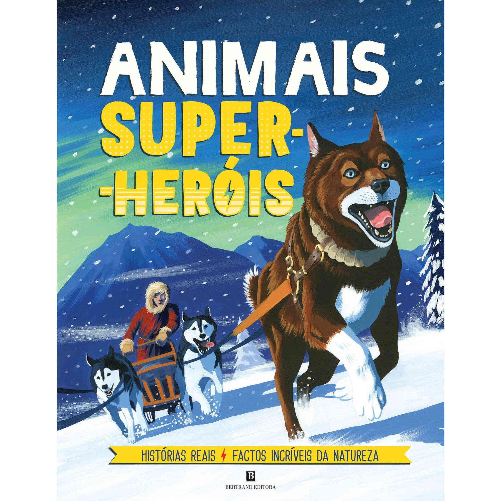 Animais Super-Her&oacute;is de Camilla de la B&eacute;doy&egrave;re