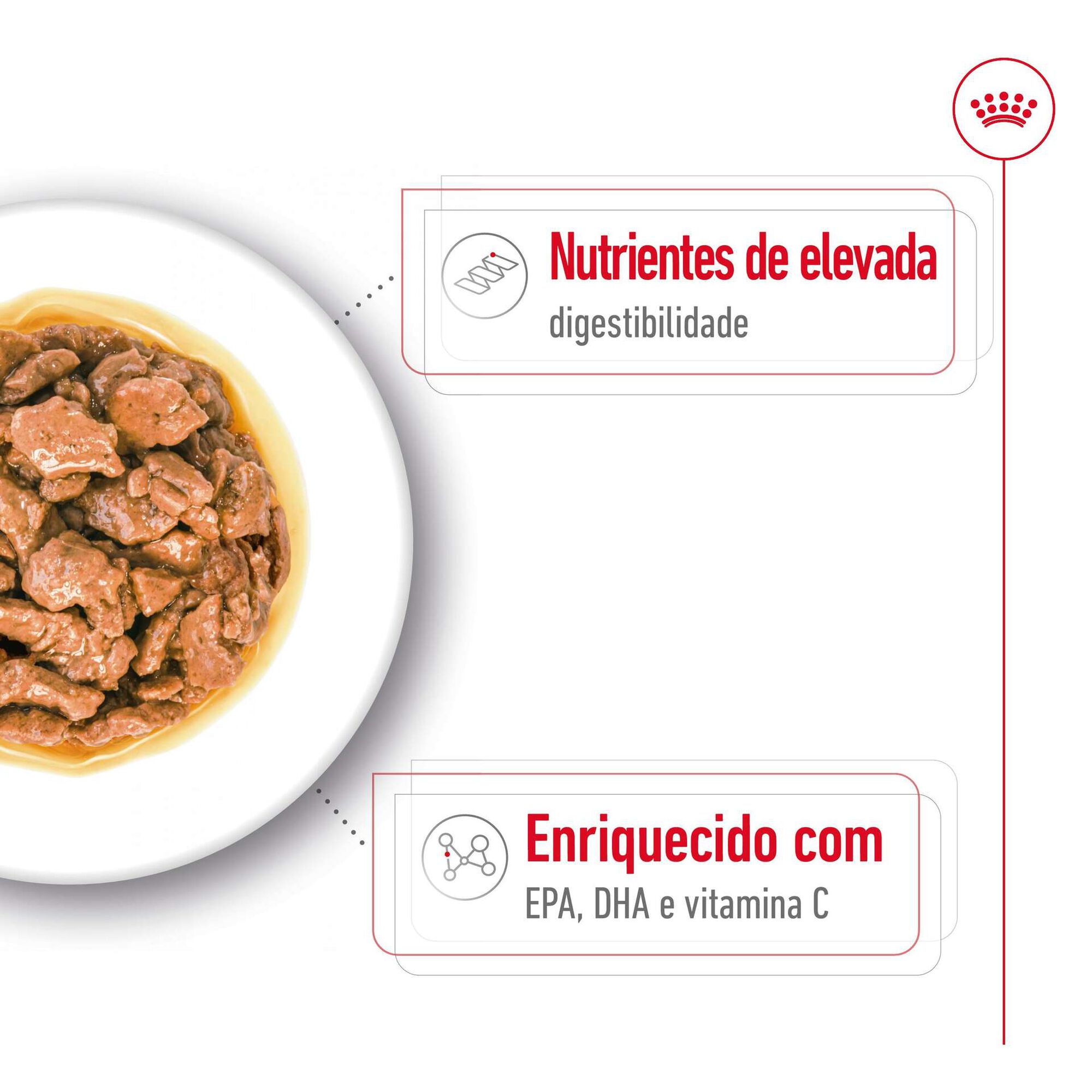 Comida H&uacute;mida para C&atilde;o Adulto X-Small Royal Canin