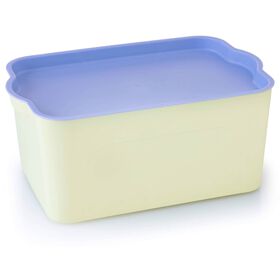 Caixa Arruma&ccedil;&atilde;o 14x20,5x32cm Bicolor Kasa