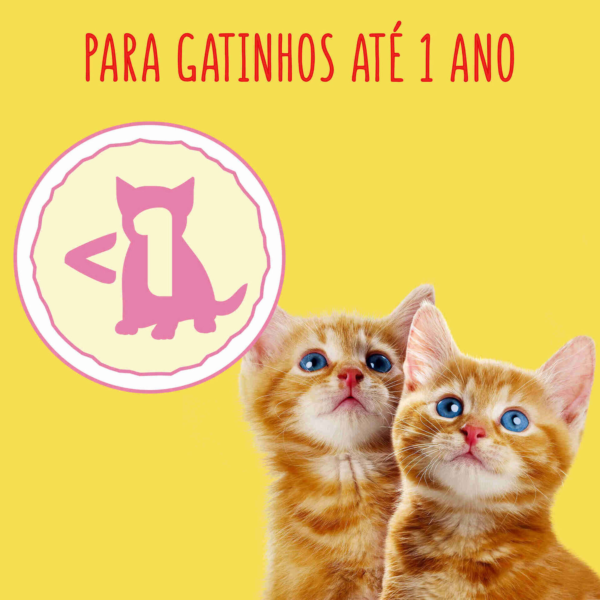 Ra&ccedil;&atilde;o para Gato J&uacute;nior Frango, Leite e Legumes Purina Friskies
