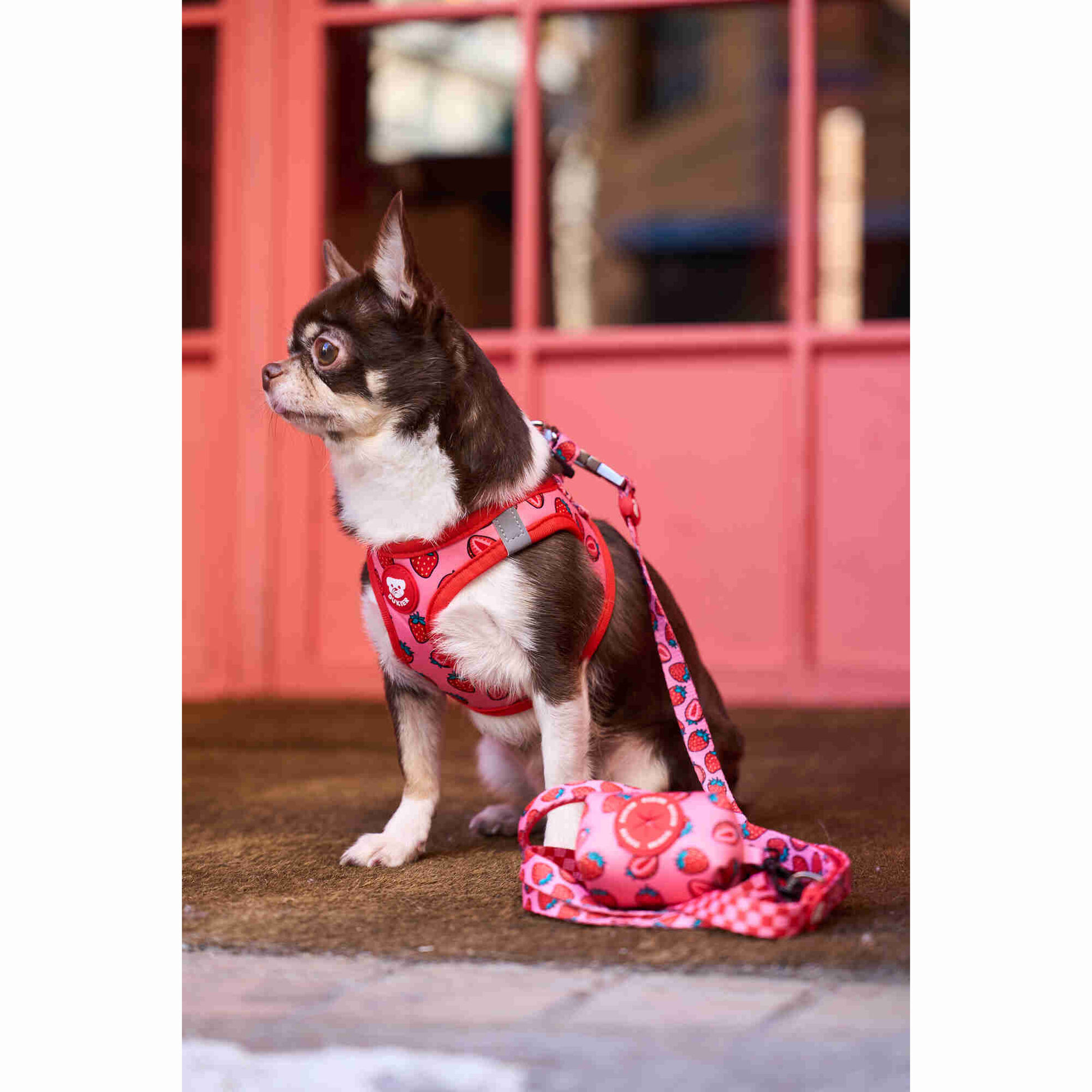 Peitoral para C&atilde;o Berry Love XL Dukier