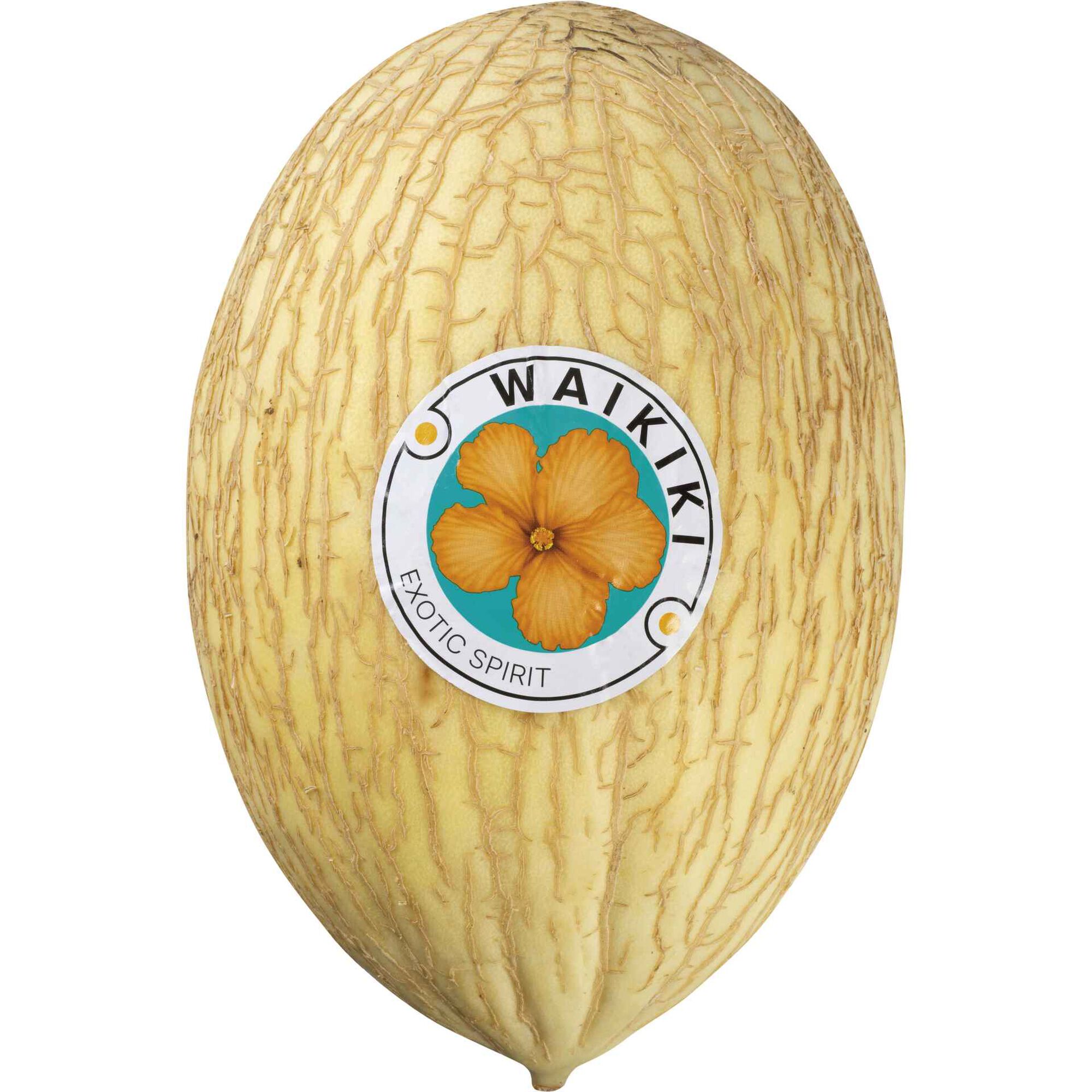 Melão Branco Waikiki Melão Branco Waikiki