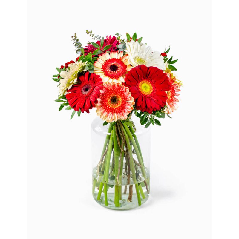 Ramo Cocktail Gerberas Vermelhas Flores no Cais