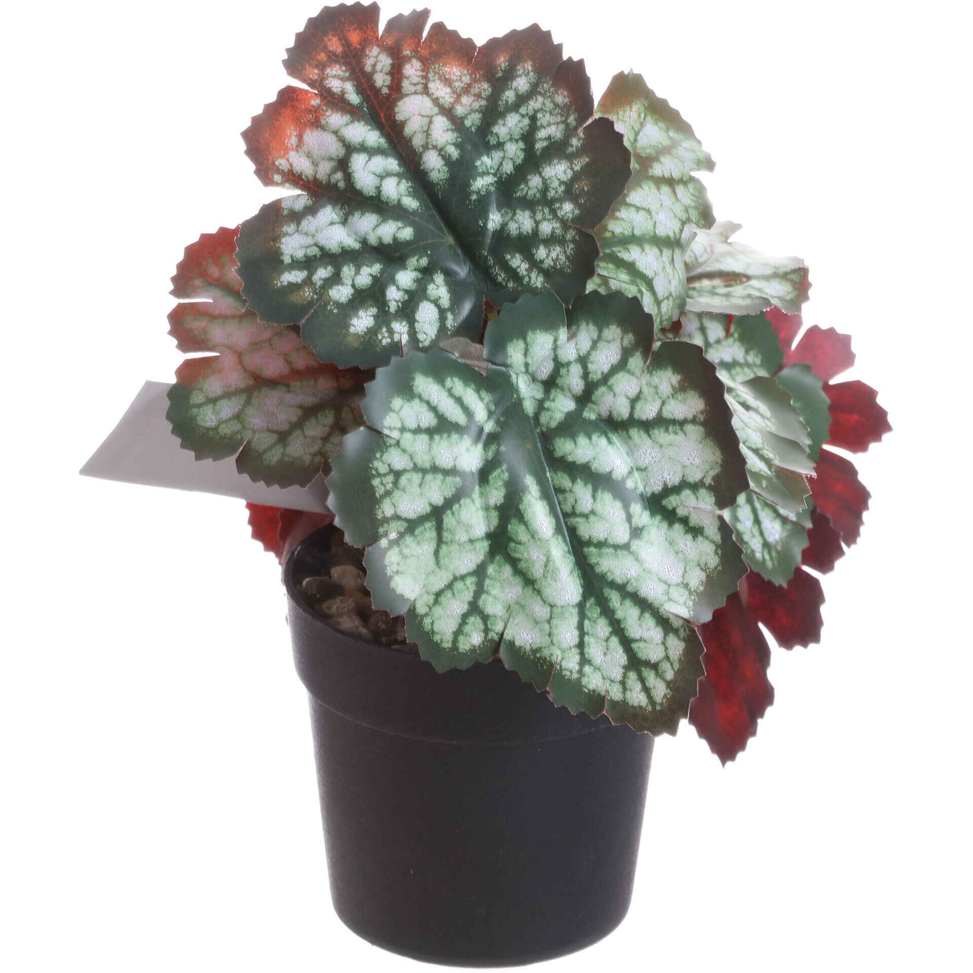 Planta Artificial Folhas Verdes e Brancas Kasa