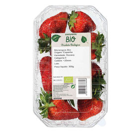 Morango Biol&oacute;gico Continente Bio