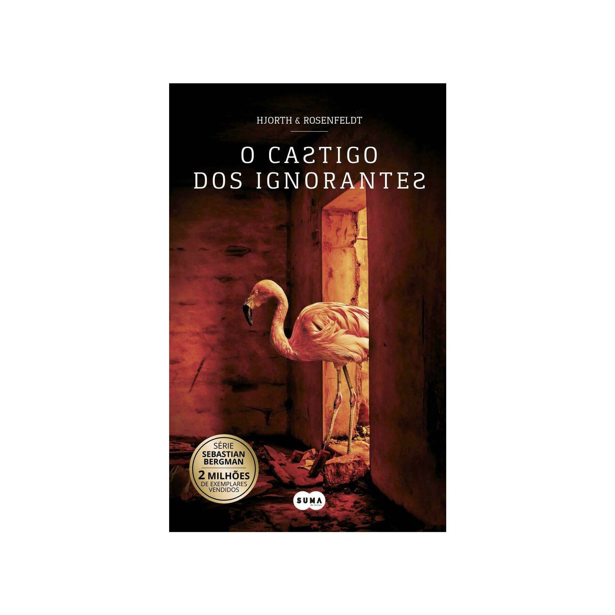 O Castigo dos Ignorantes - Série Sebastian Bergman - volume 5