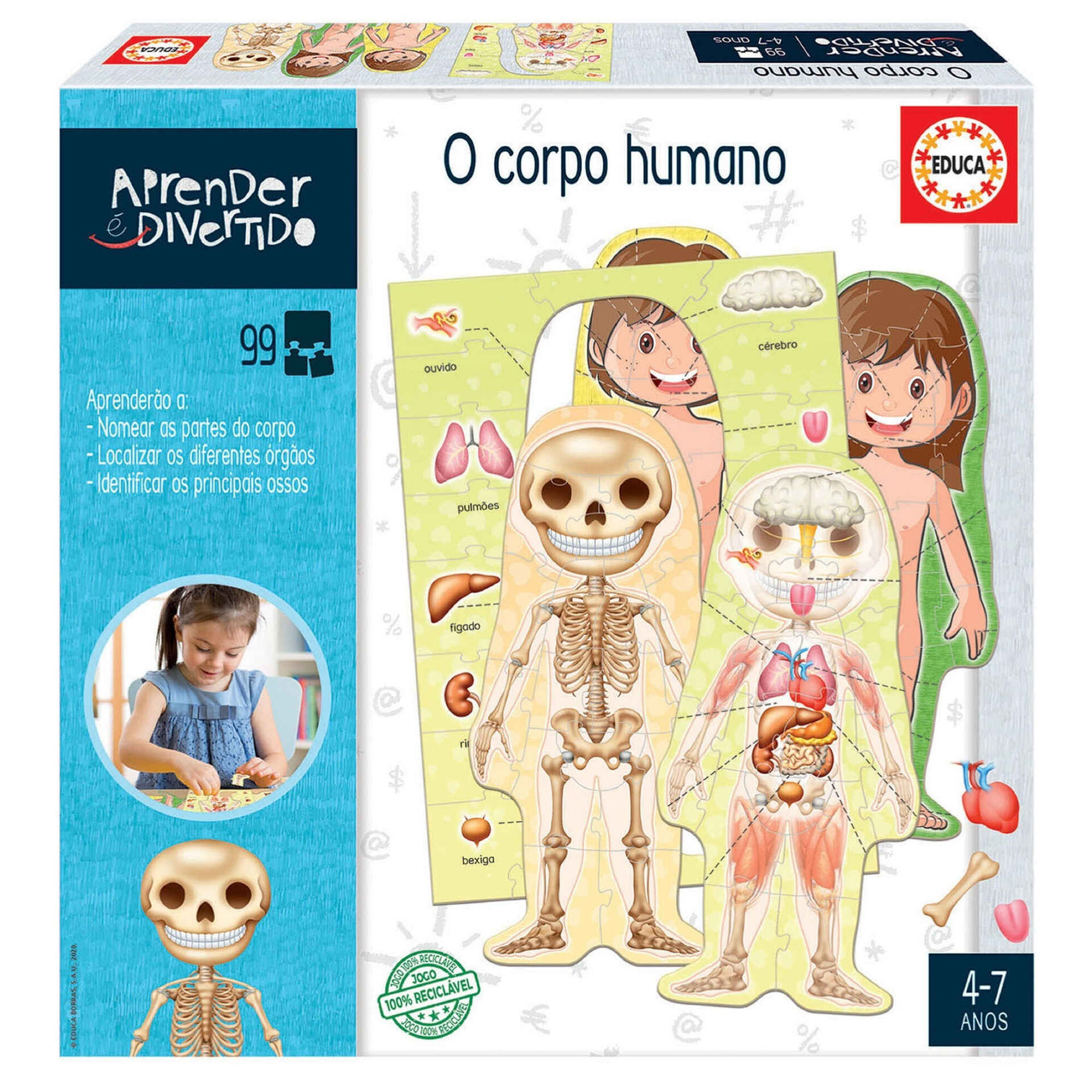 Puzzle O Corpo Humano Puzzle O Corpo Humano