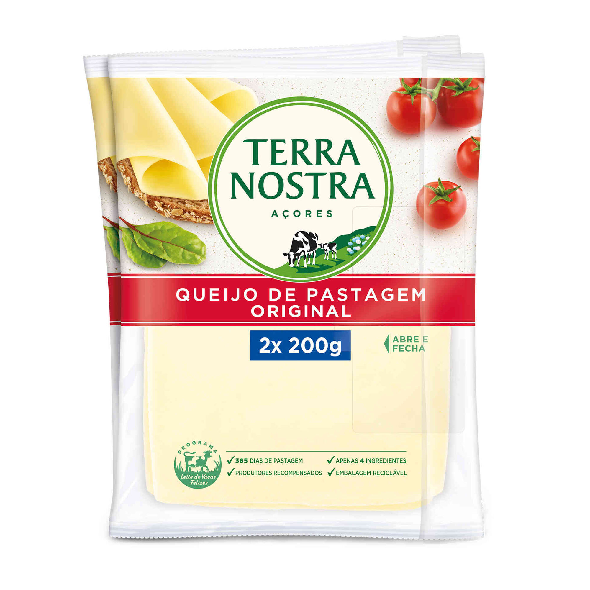 Queijo Flamengo Fatiado Queijo Flamengo Fatiado