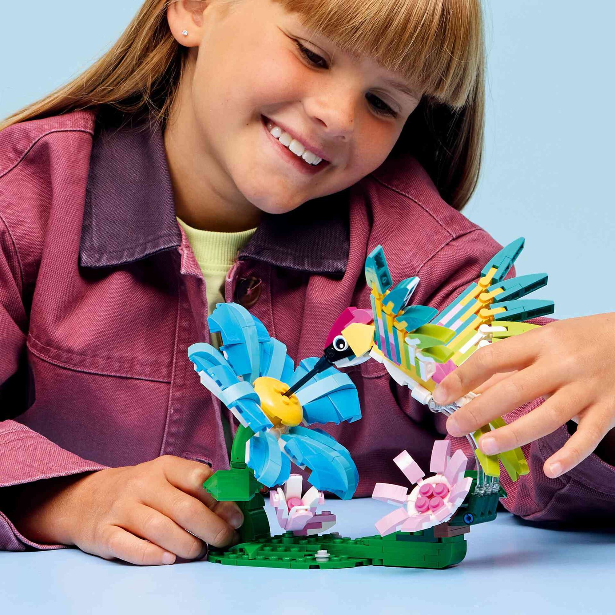 Animais Selvagens: Beija-flor Colorido - 31384