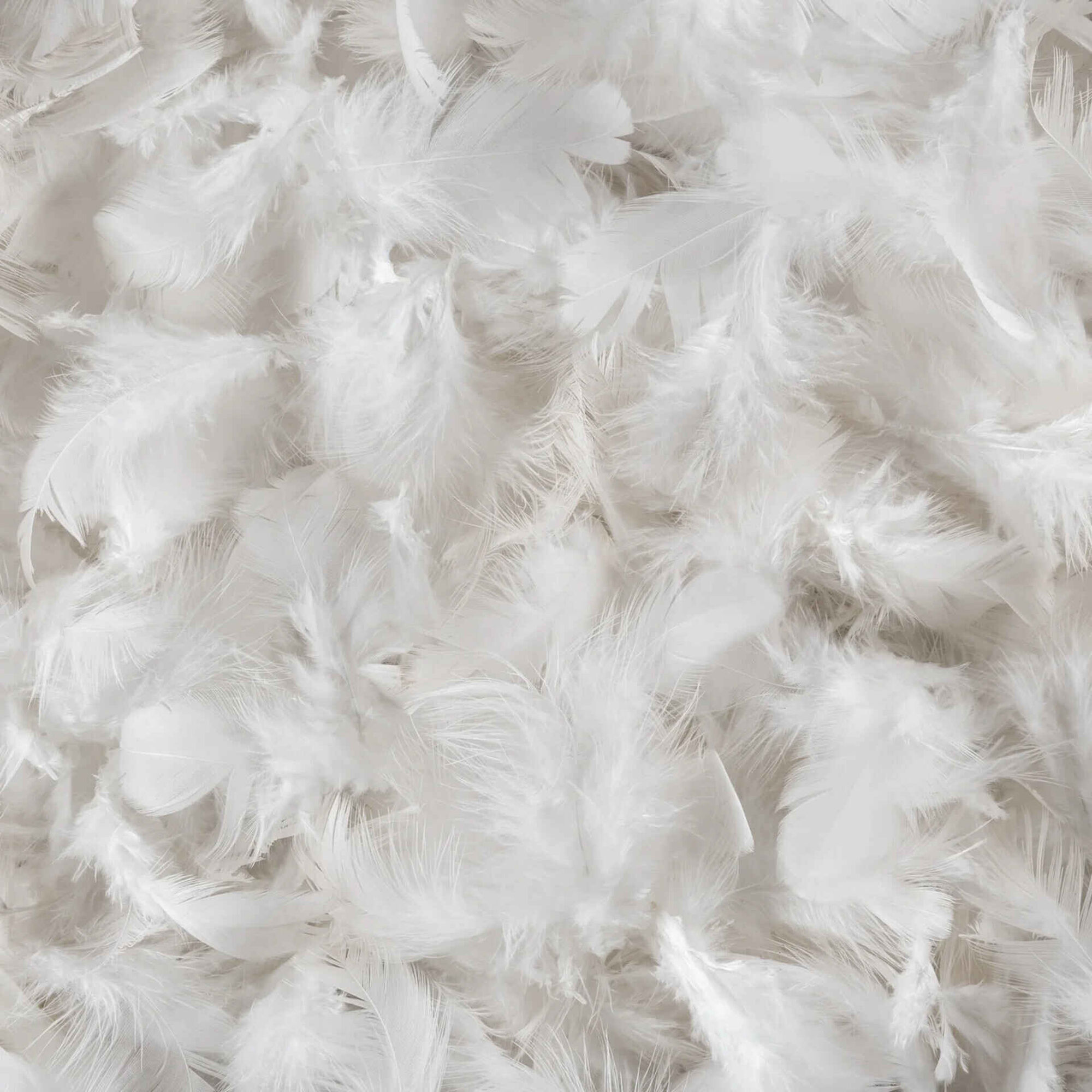 Almofada Shiro Dreamura