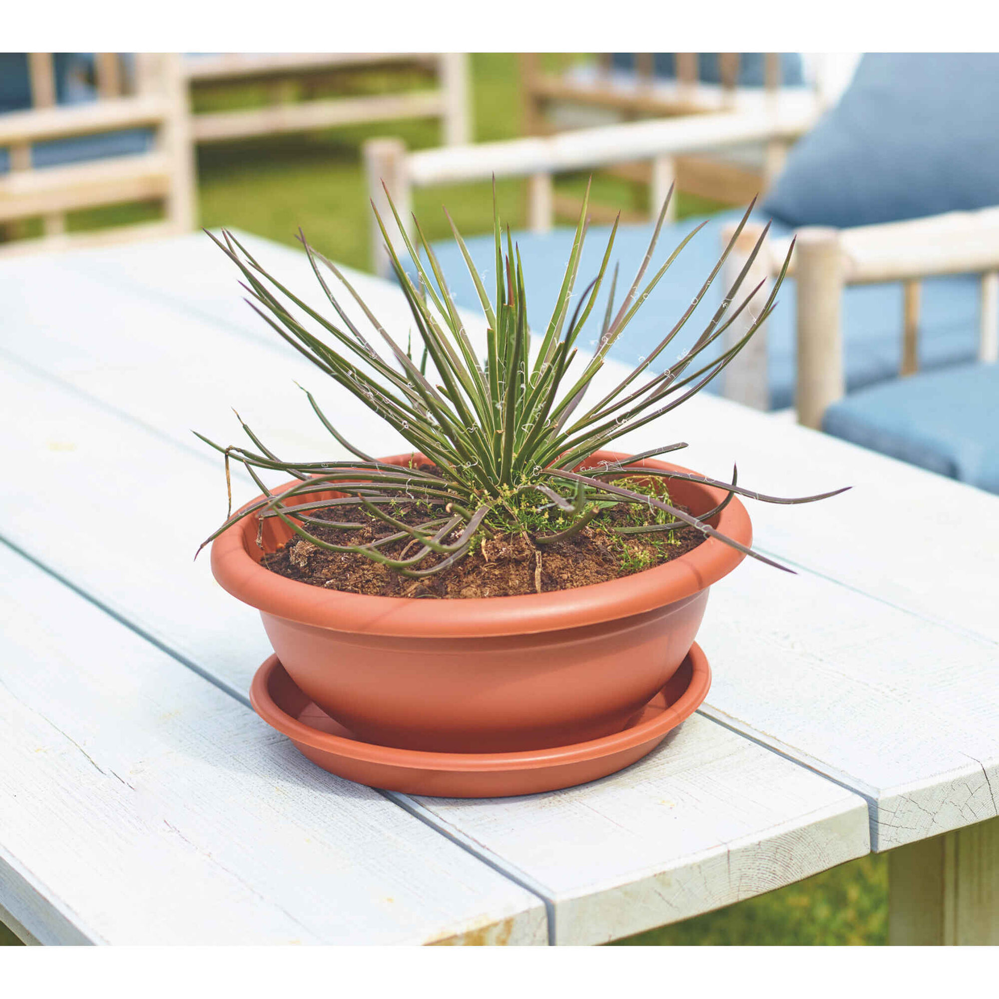 Prato Redondo Plástico 26cm Terracota