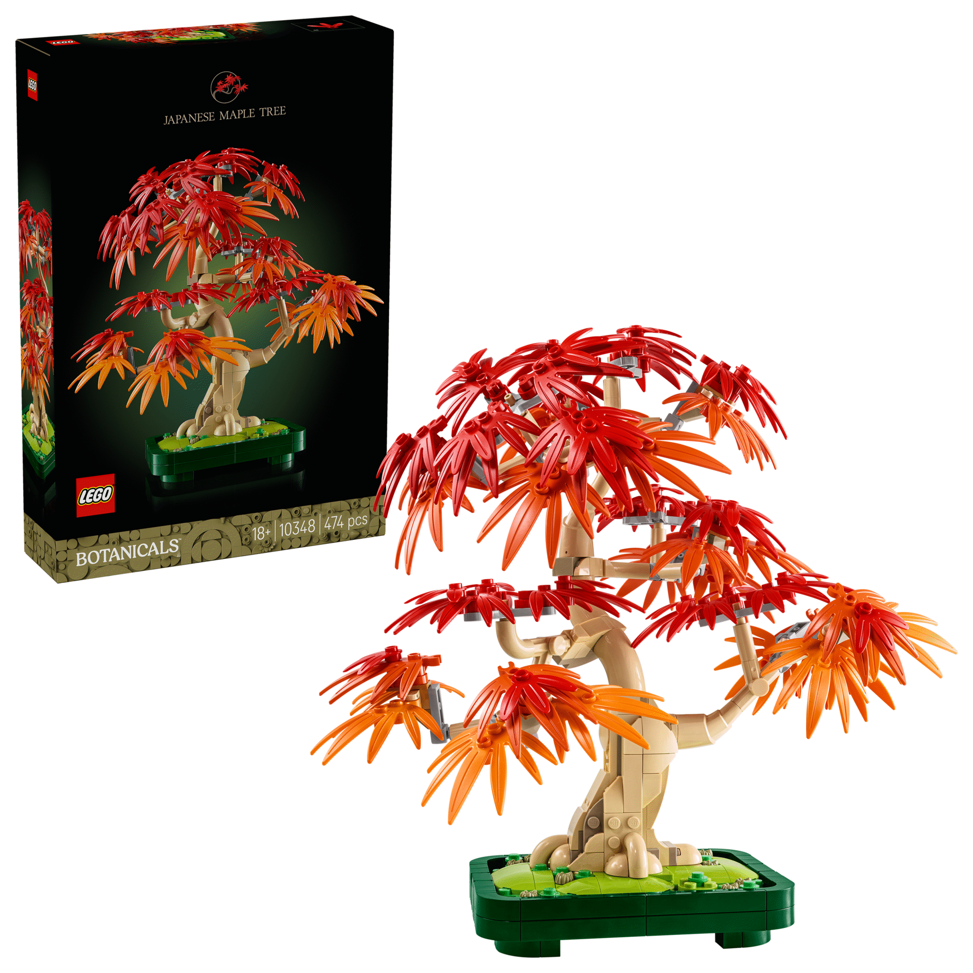 Bonsai de Bordo Vermelho Japonês - 10348