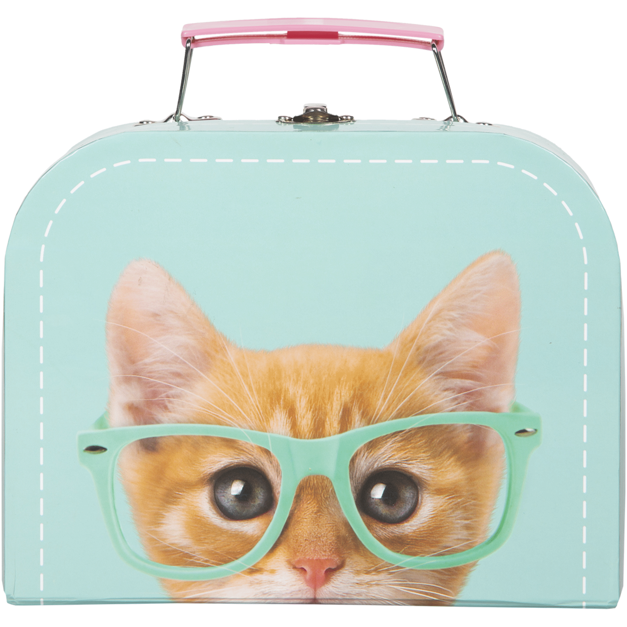 Studio Pets - Rayben