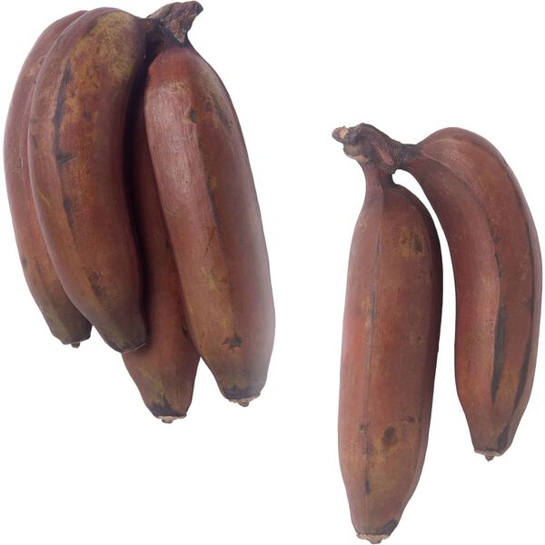 Banana Rosa Continente