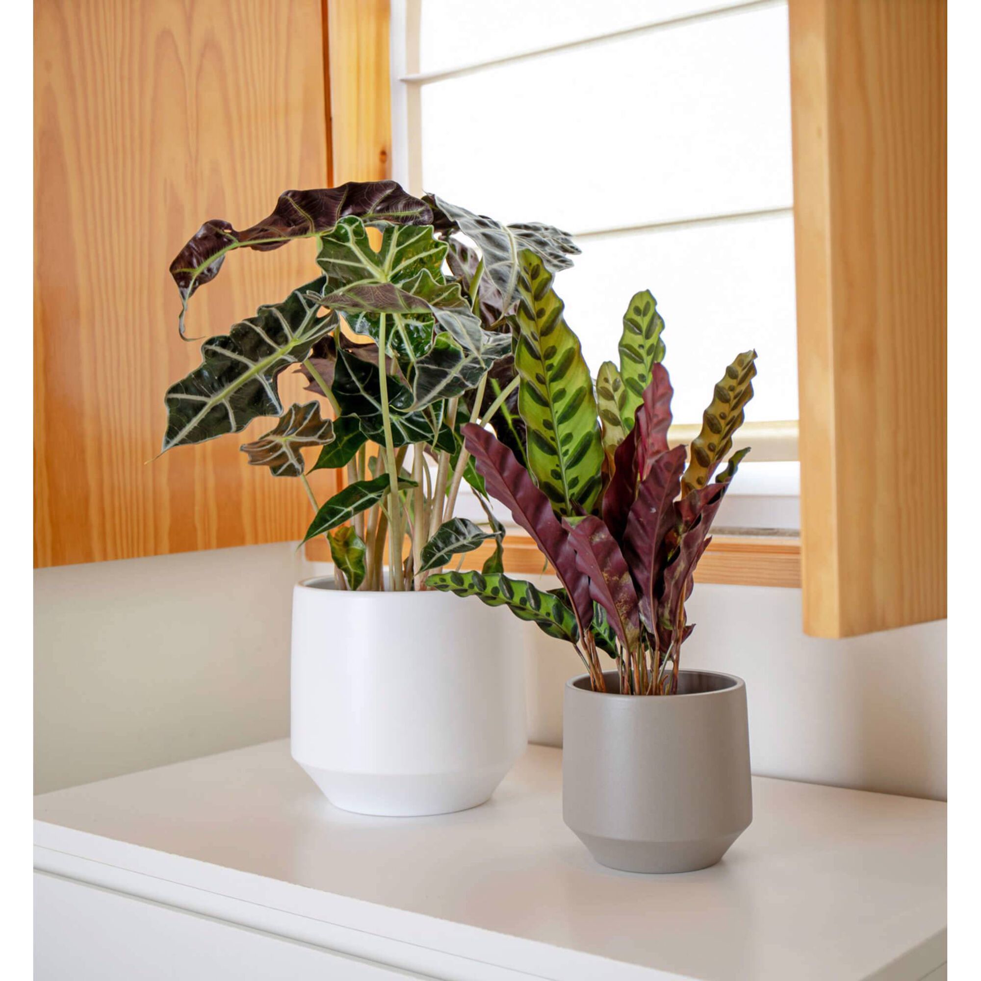 Vaso Redondo Faiança 17cm Branco