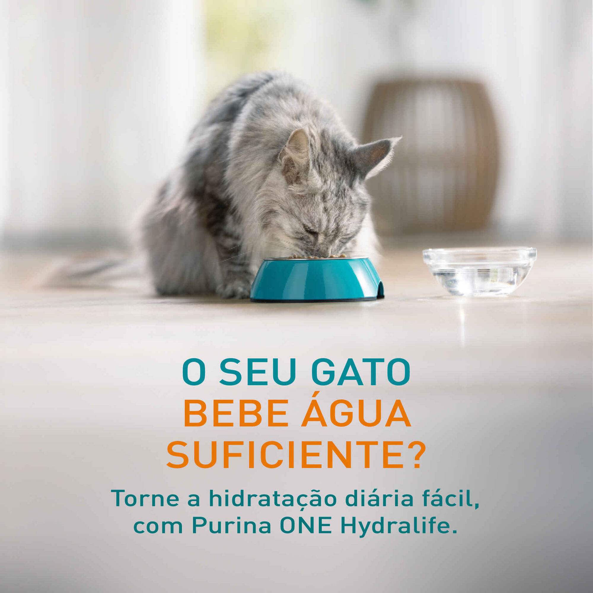Snack para Gato Hydra Life Líquido Frango