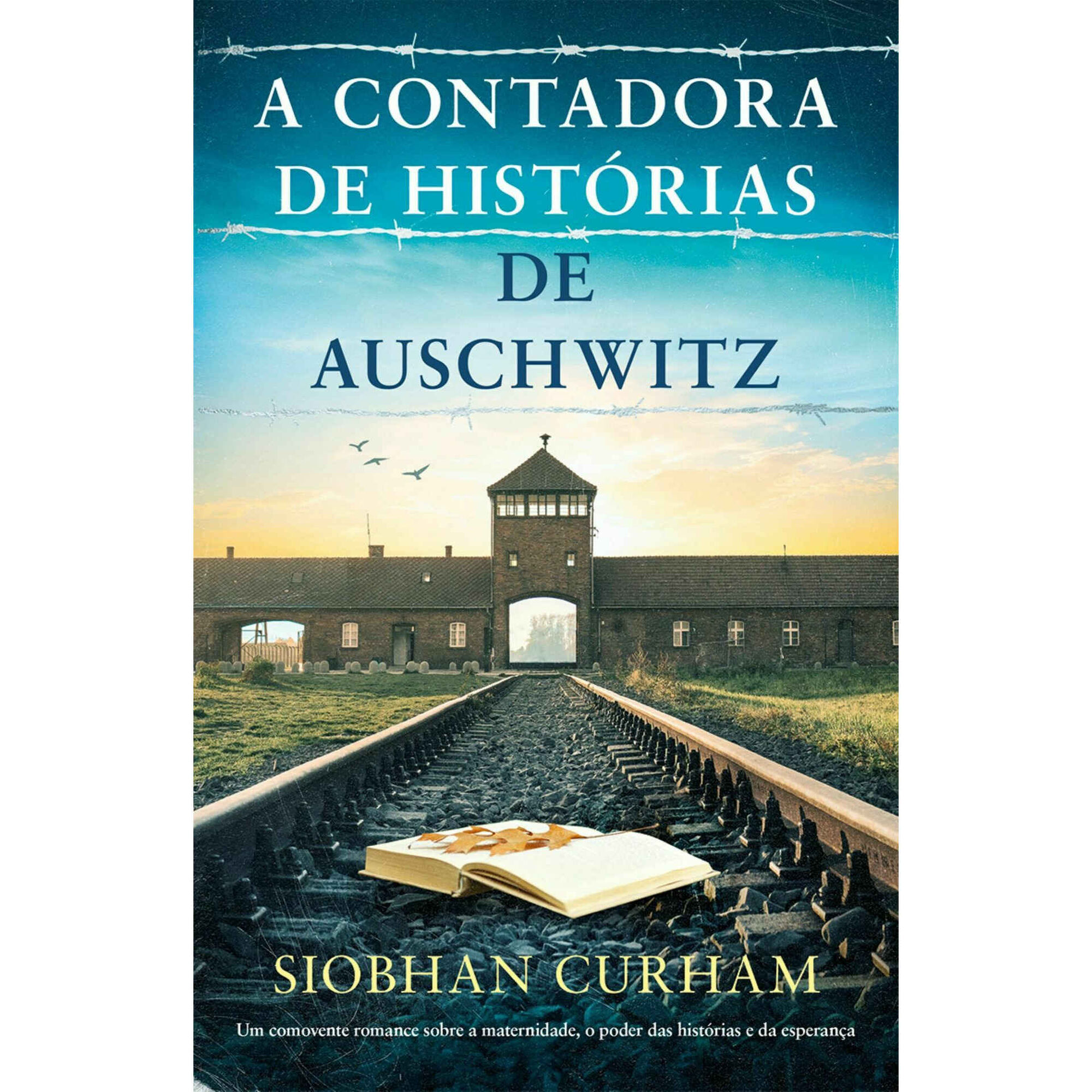 A Contadora de Hist&oacute;rias de Auschwitz de Siobhan Curham