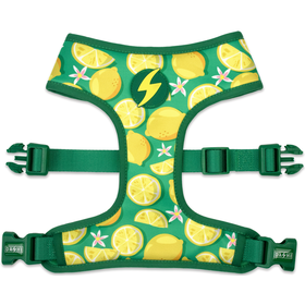 Peitoral para C&atilde;o Eco Rio 2XL Dashi