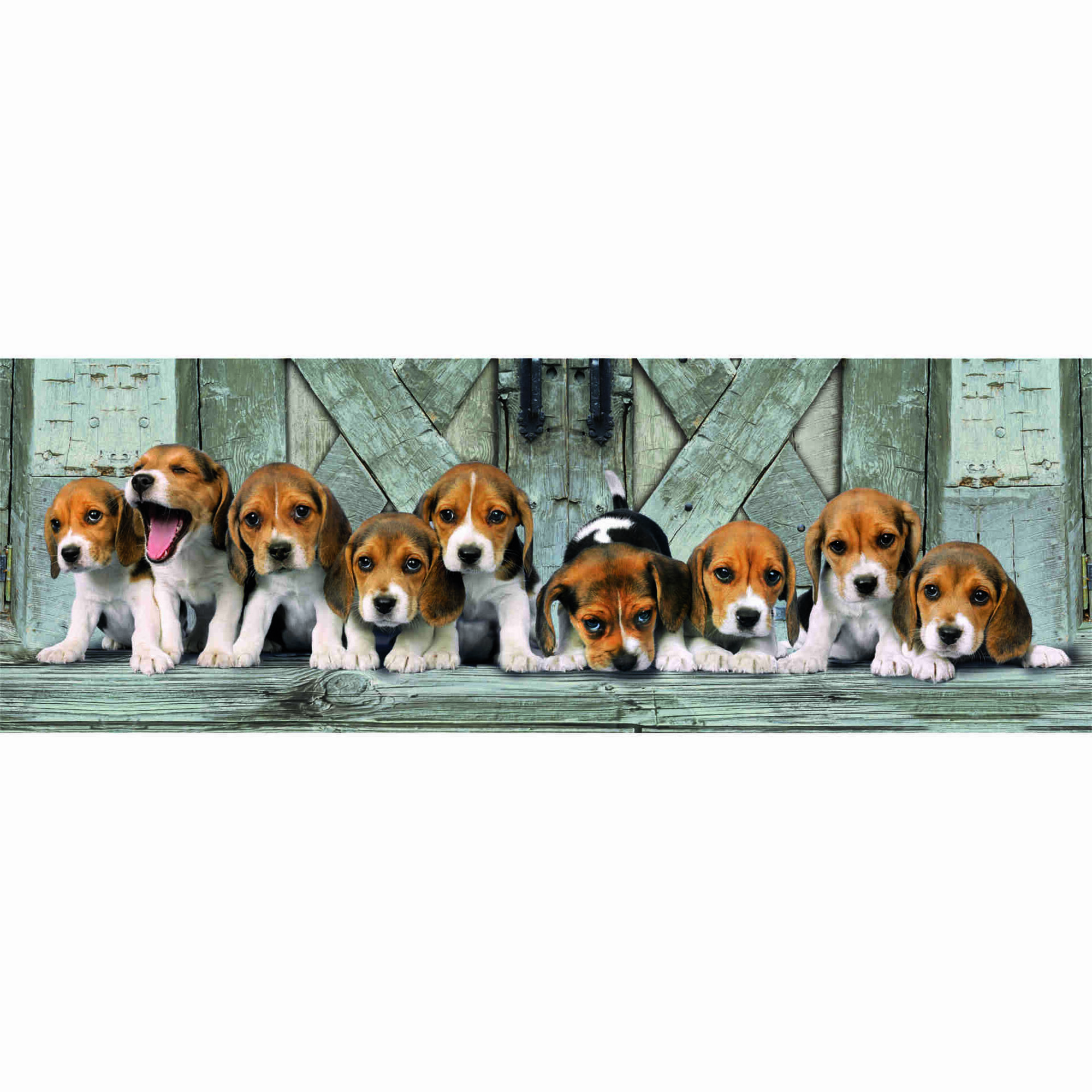 Puzzle Panorama Beagles 1000 Peças