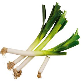 Alho Francês Alho Francês