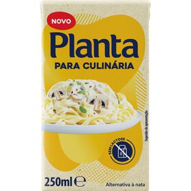 Planta para Culin&aacute;ria